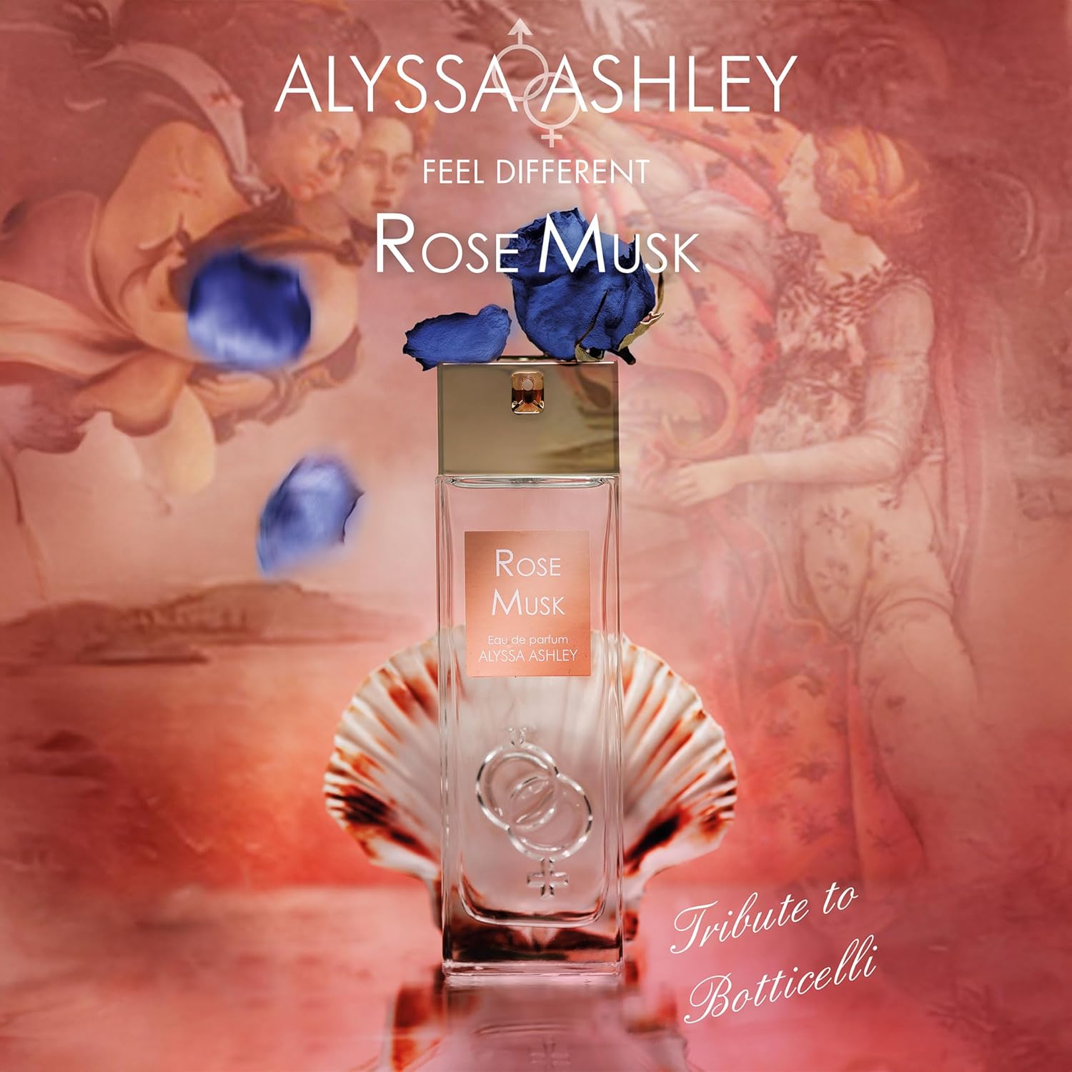 Alyssa Ashley Rose Musk - Mini Perfumes for Women and Cologne for Men - Floral Woody Musk Fragrance with Rose and Cassis - 1 oz EDP Spray - Image 4
