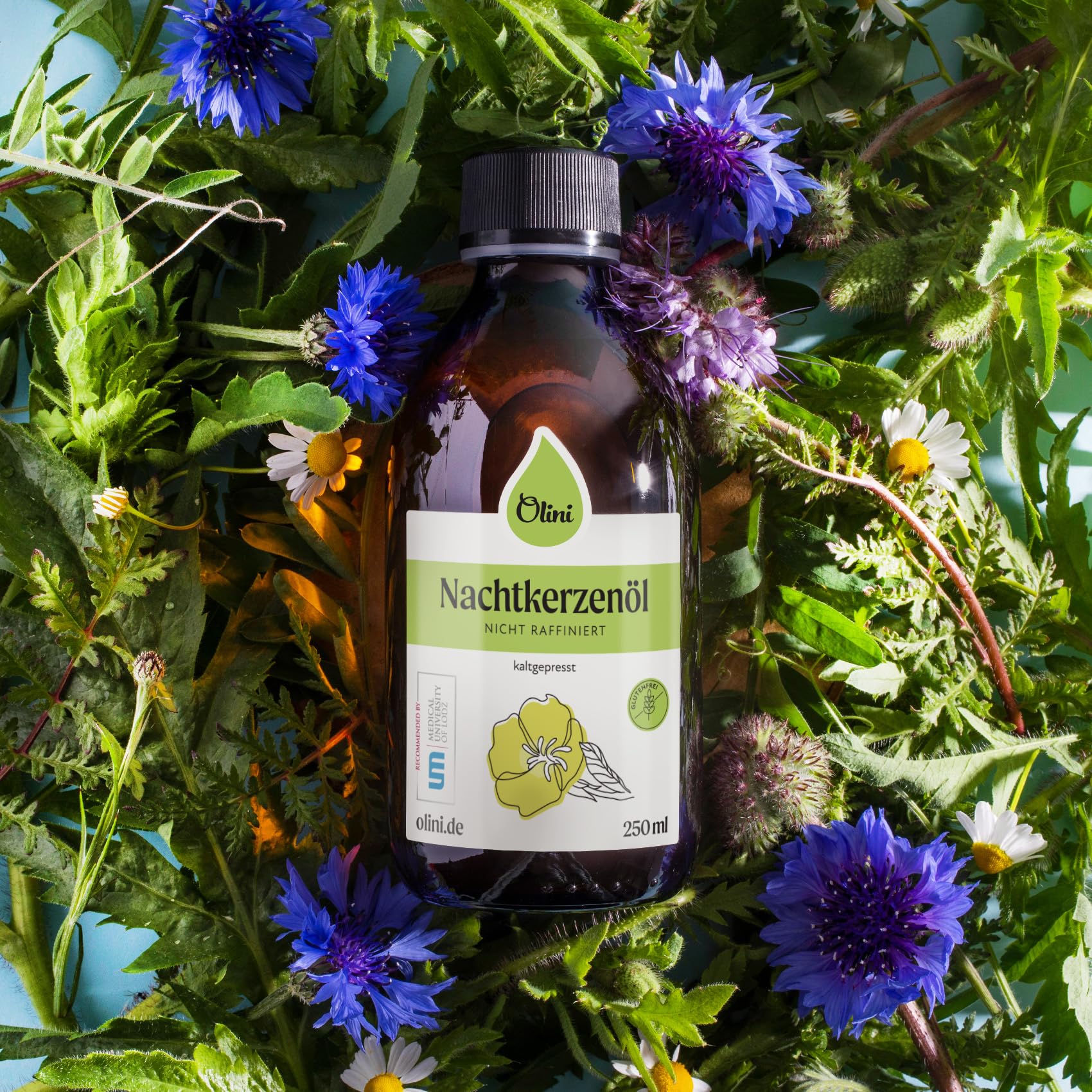 OLINI Nachtkerzenöl 250 ml Direkt aus der Ölmühle, Glasflasche, Kaltgepresst, Unraffiniert, Unbehandelt, Reich an Omega-6, Omega-3, Vitamin E, Gamma-Linolensäure GLA, Veganerfreundlich