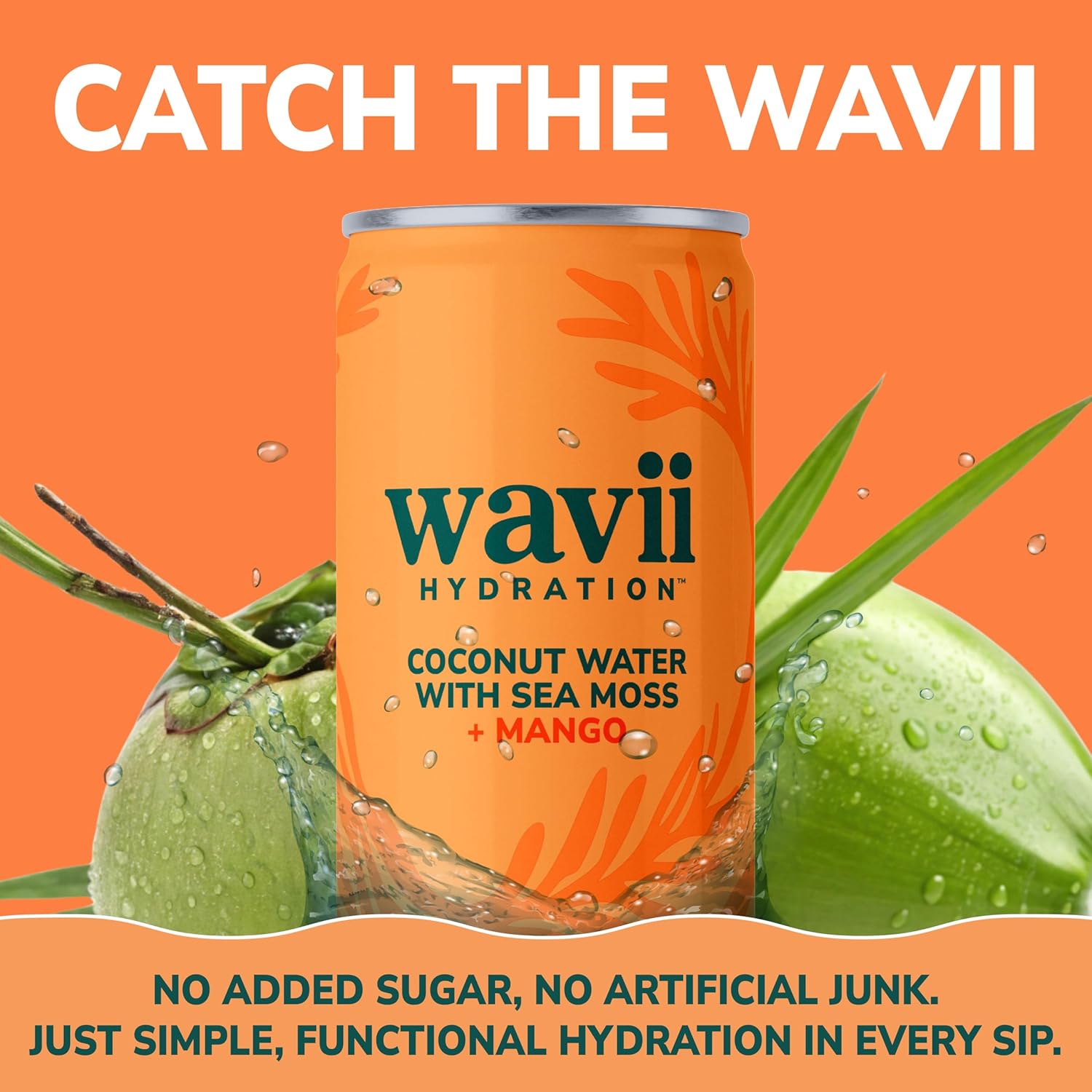 Wavii Hydration Organic Coconut Water with Organic Sea Moss plus Mango, 11 fl oz Cans, Pack of 12 – Clean Refreshing Hydration with Naturally Occurring Electrolytes, No Added Sugar, Non-GMO - Image 3