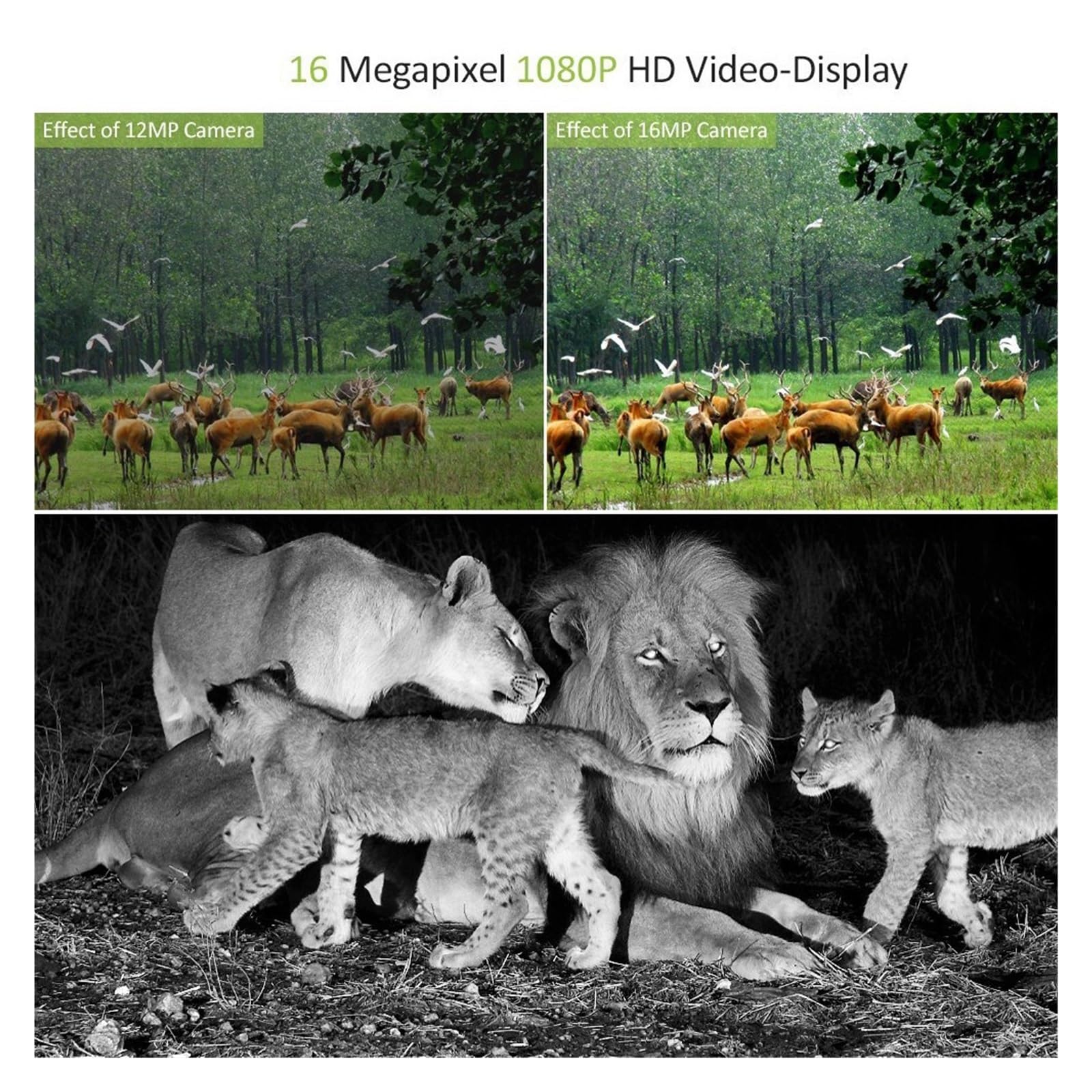 Kamera Obserwacji Dzikiej Przyrody Kamera Myśliwska Kamery Obserwacyjne 20MP 1080P Noktowizor Wodoodporna Pułapka Na Zdjęcia MiNi301 Bezprzewodowa Przyroda Niezawodny Dokładny Monitoring(1PCS-MINI301)