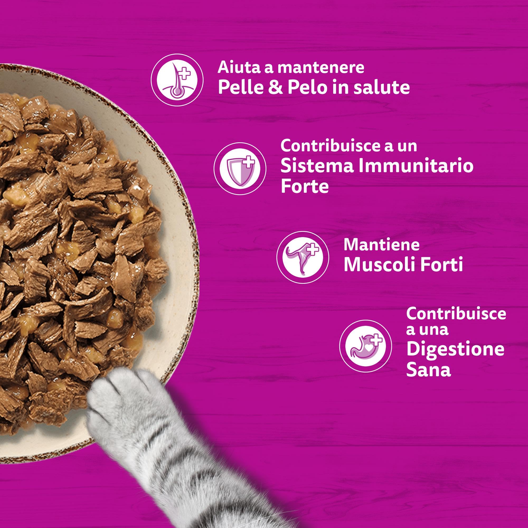 WHISKAS PURE DELIGHT Cibo Umido in Gelatina per Gatti Adulti 4x85g Selezione Delicata, confezione da 13