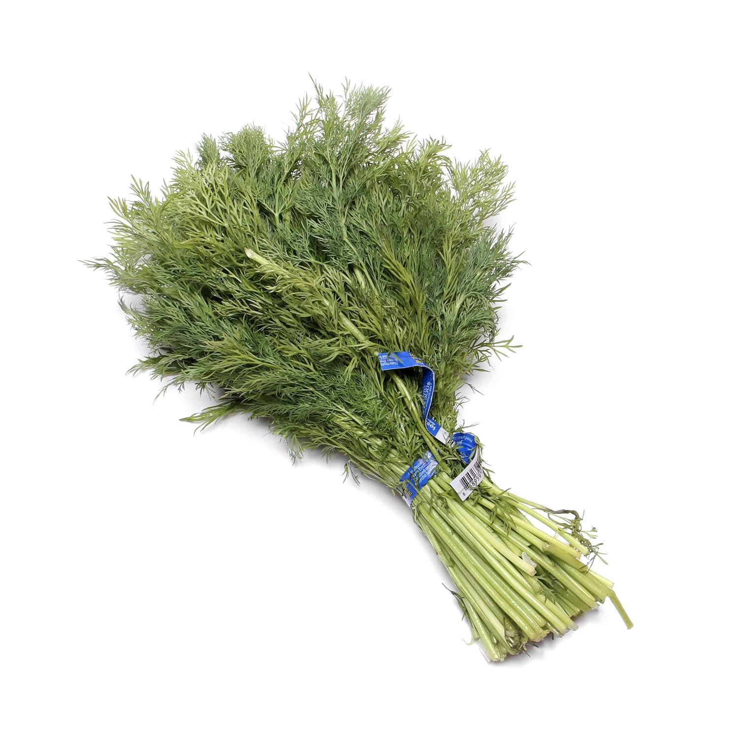 Herb Dill Organic, 0.75 Ounce