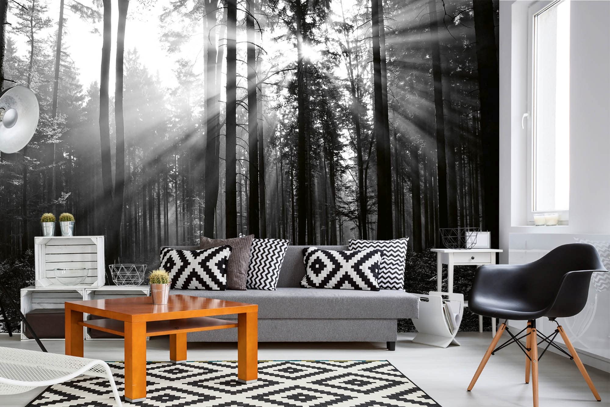 Fototapeta z włókniny, czarno-biały las, 375 x 250 cm (w zestawie klej) – tapeta z włókniny, tapeta ścienna, obrazy ścienne – tapeta do salonu, sypialni, biura, kuchni – gotowa do montażu