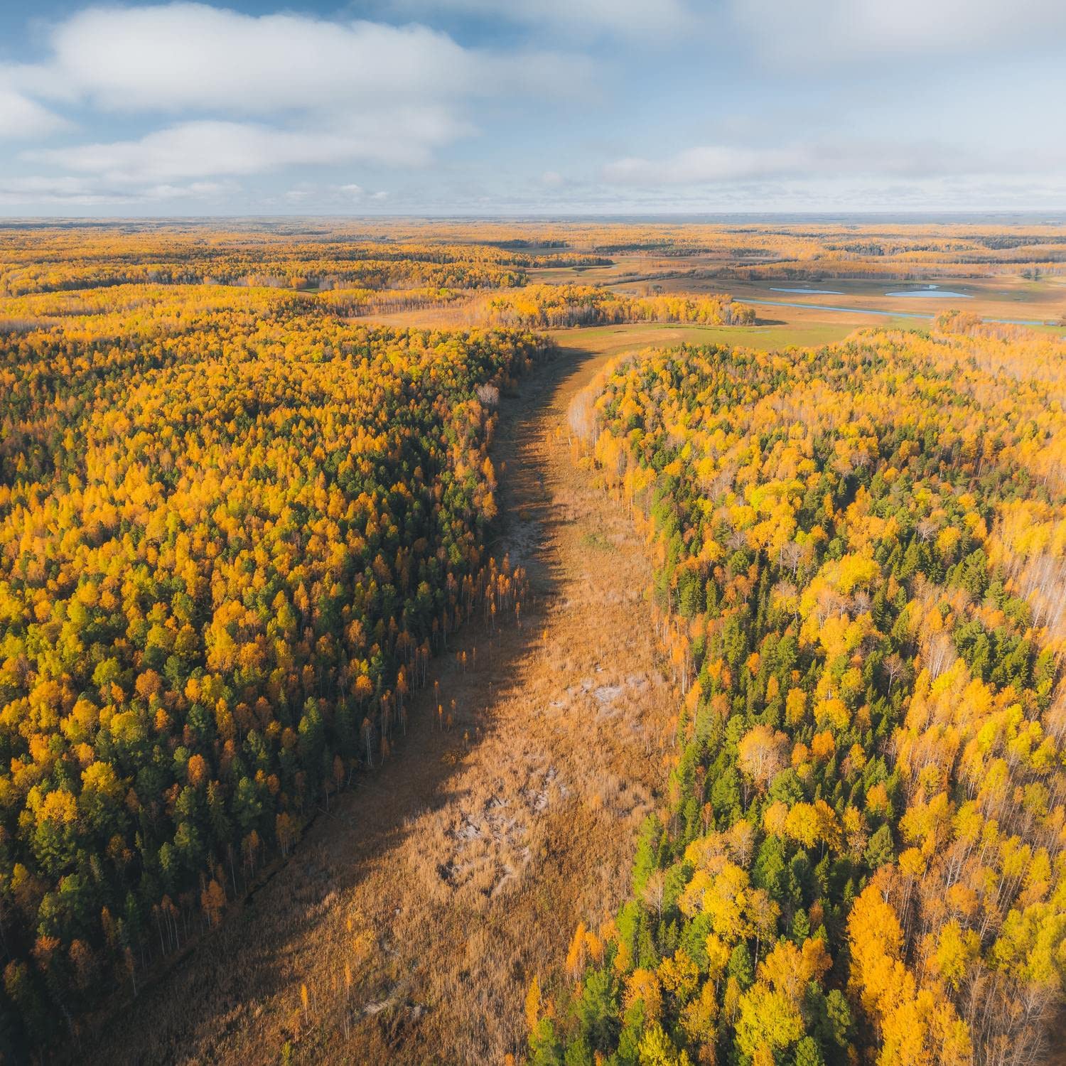 Relaxing Noise Shushers