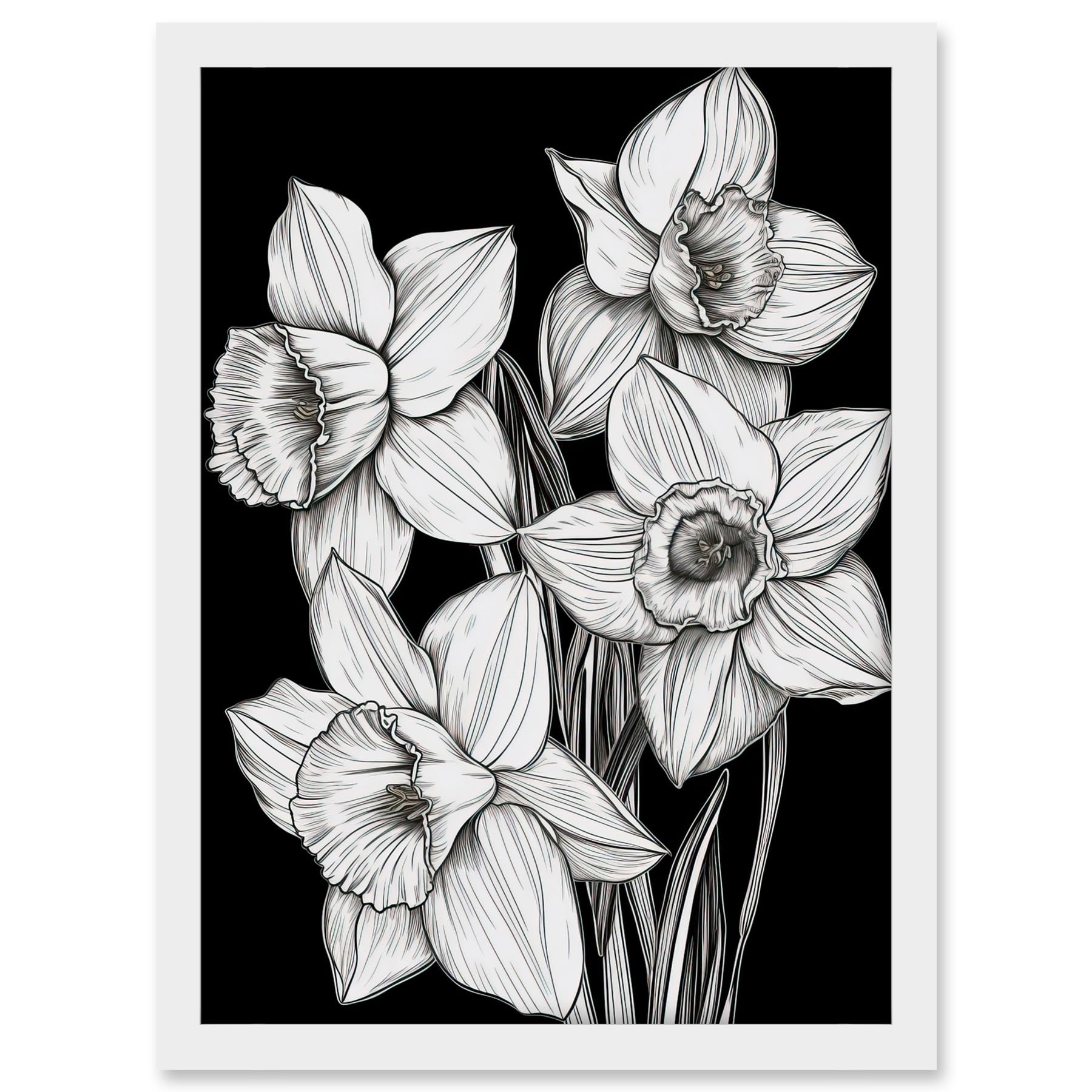 Artery8 Daffodil Wildflower Plant Blooms Black and White Artwork Framed A3 Wall Art Print