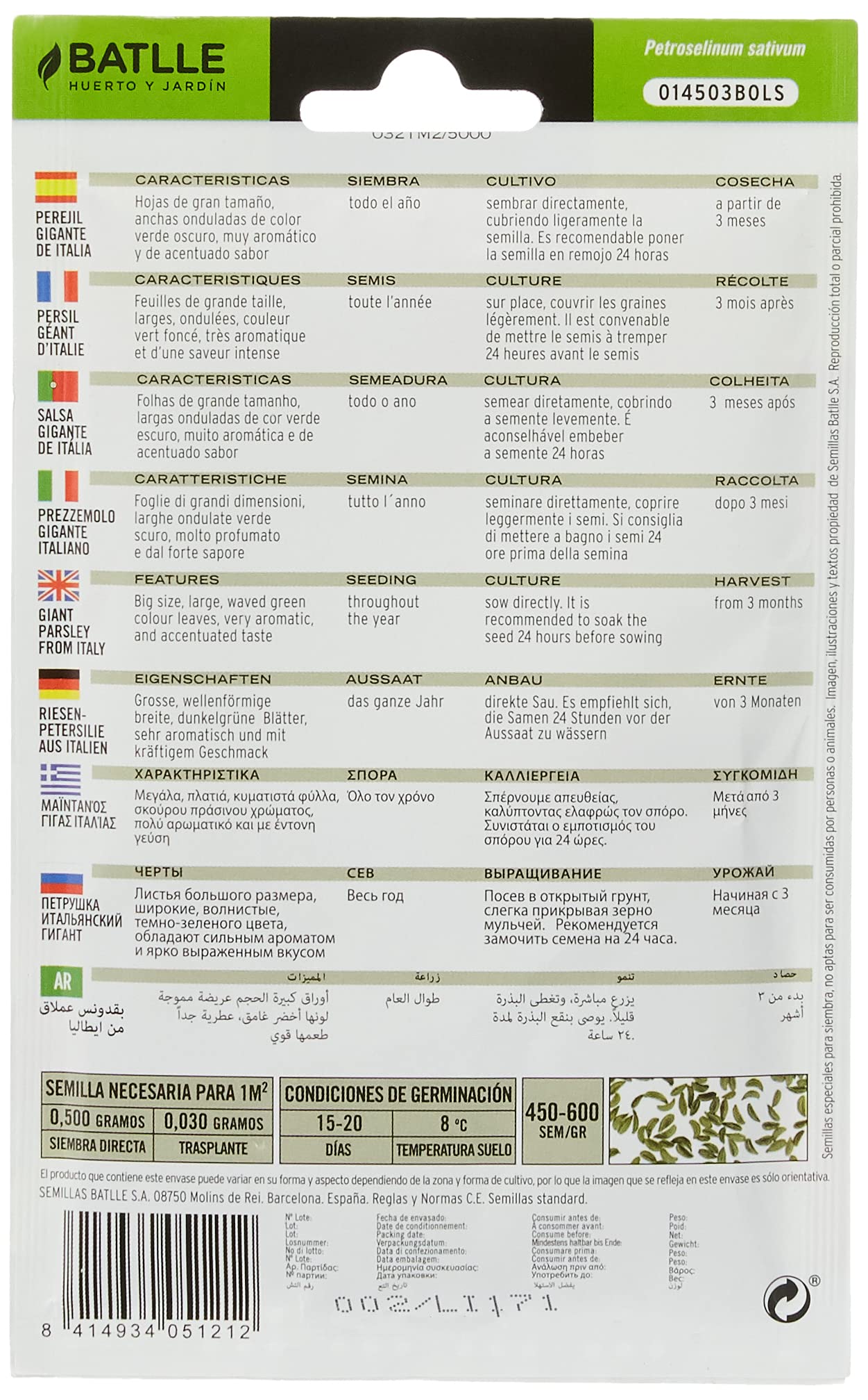 Semi Di Prezzemolo Gigante D'Italia - Aromatico, Foglie Grandi, 35cm - Foto 11