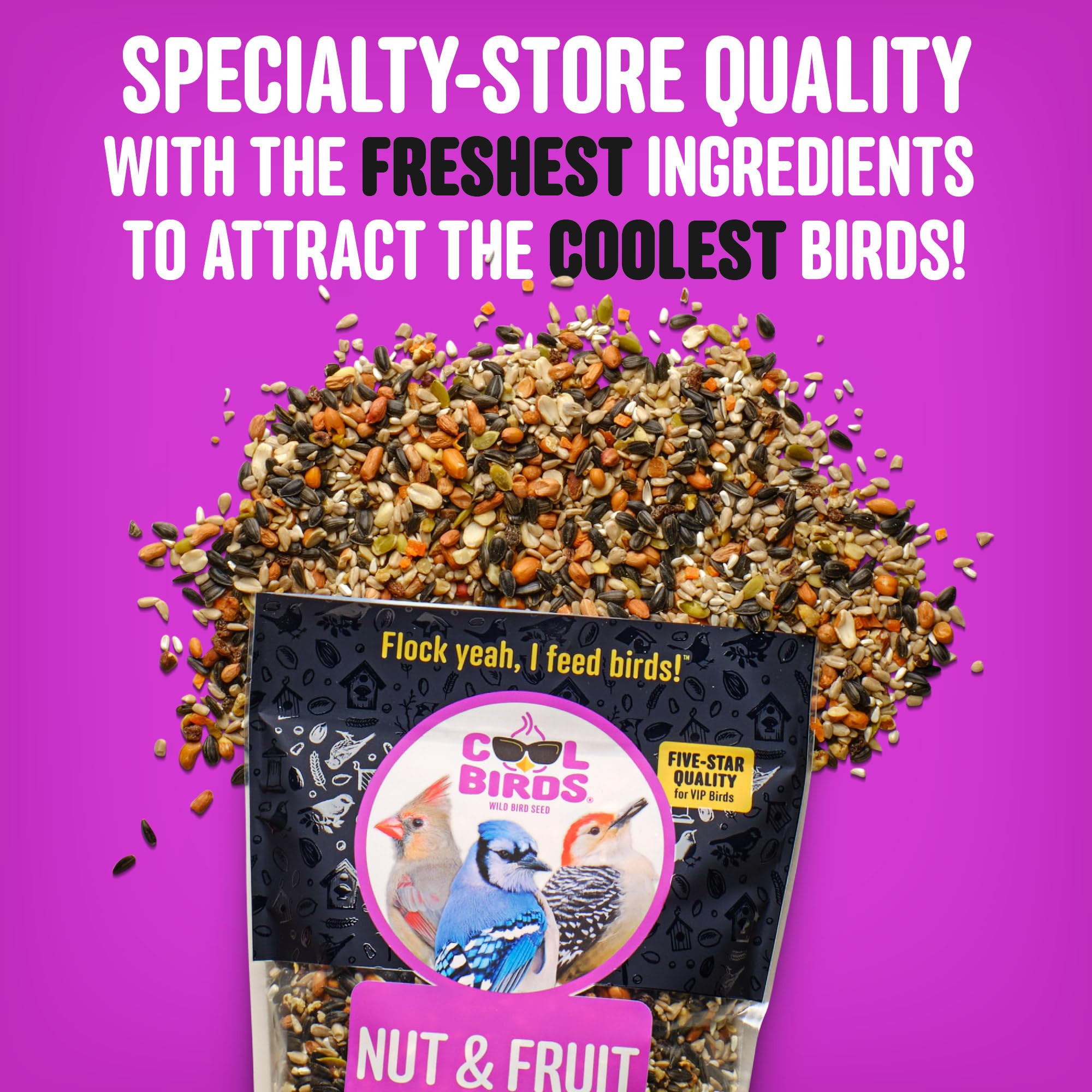Cool Birds Nut & Fruit - Semi per uccelli selvatici, 4,5 kg, cibo per uccelli gourmet con cuori di girasole, arachidi, noci e frutta vera, senza mais, milo o miglio, per mangiatoie esterne