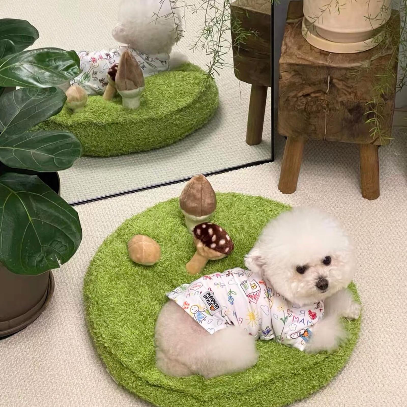 CECE PAW Alfombra de hongos para mascotas y cama | Tapete para olfatear perros con 3 setas arrugadas para ocultar golosinas | Cojín suave para gatos, perros pequeños y dueños | Juego interactivo