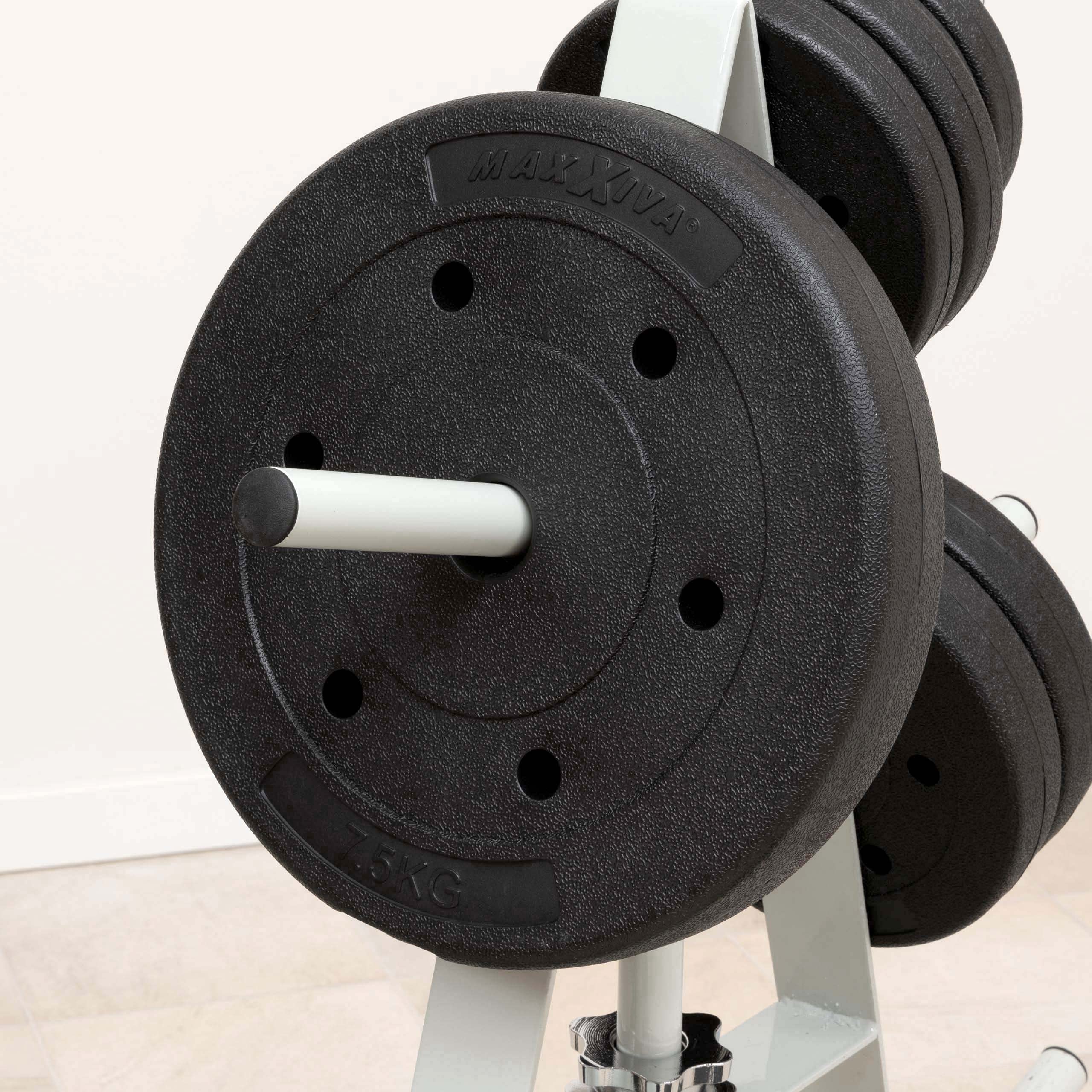 Hantelscheiben-Set Zement 4 x 7,5 kg Ersatzgewichte für den Muskelaufbau Krafttraining Fitness-Zubehör Gewichtheben Gewichtsscheiben 30 kg