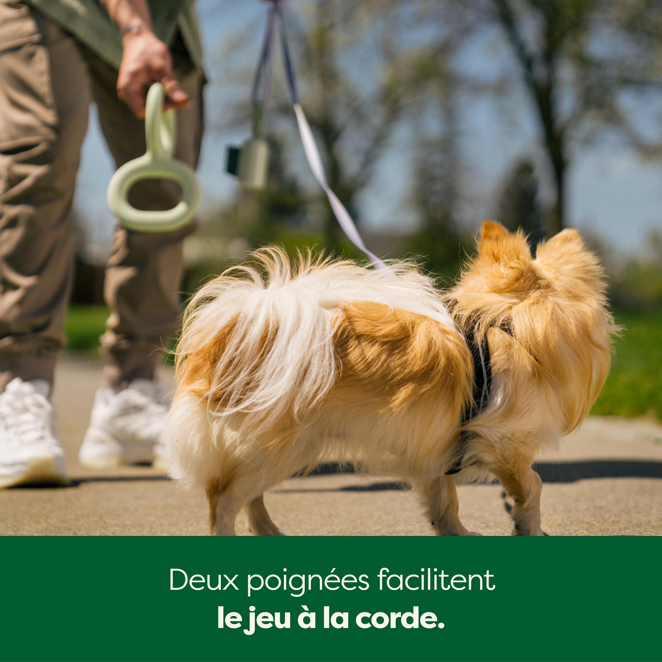 Earth Rated Tug of War Jouet interactif à Tirer pour Chien Adulte et Chiot - Prise en Main Ergonomique - Caoutchouc Naturel - Taille S - Vert