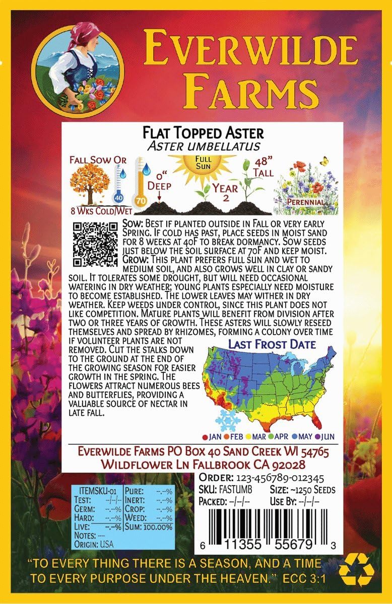 Everwilde Farms - 1 Oz Flat-Topped Aster Native Wildflower Seeds - Gold Vault