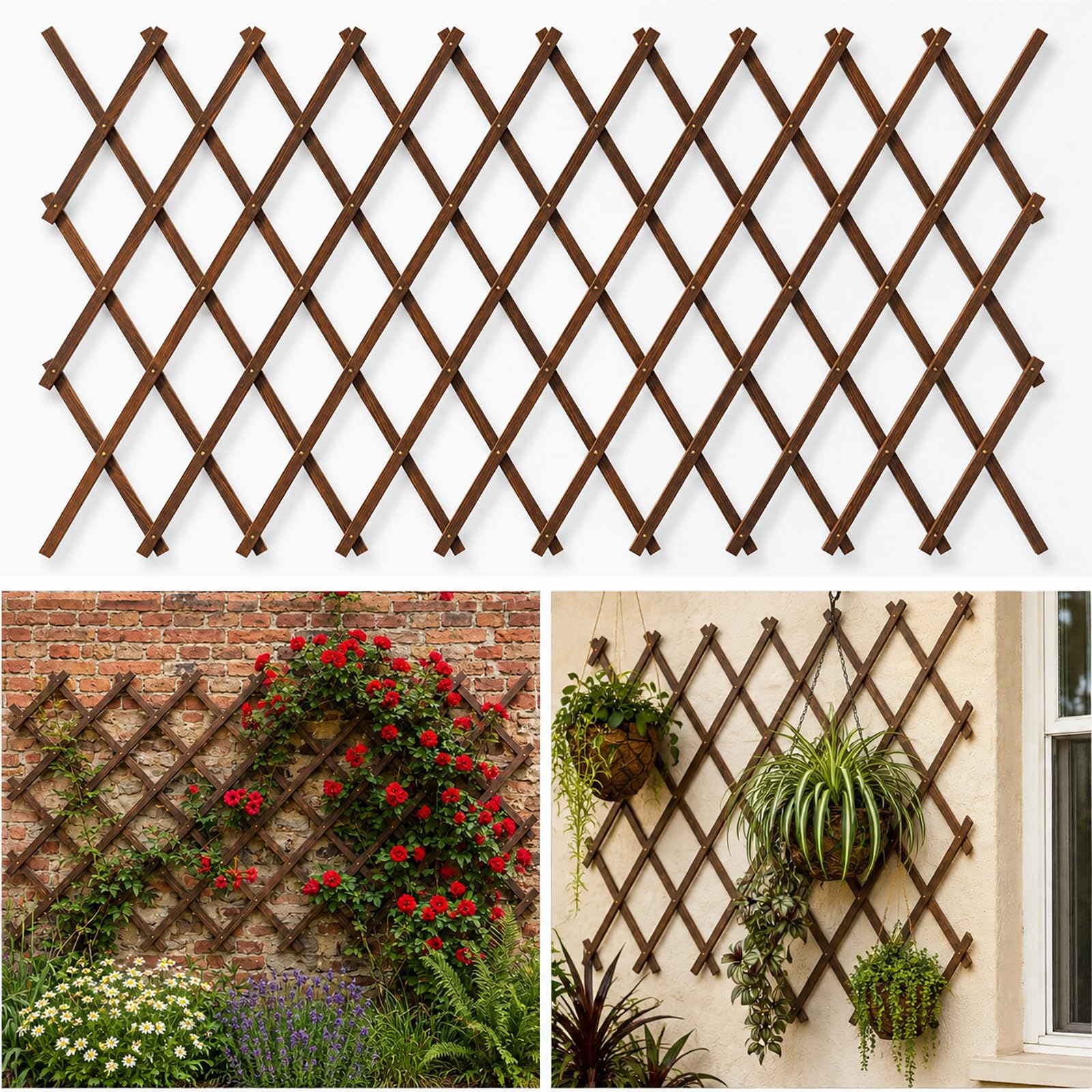 Tilinyan Expandable Trellis