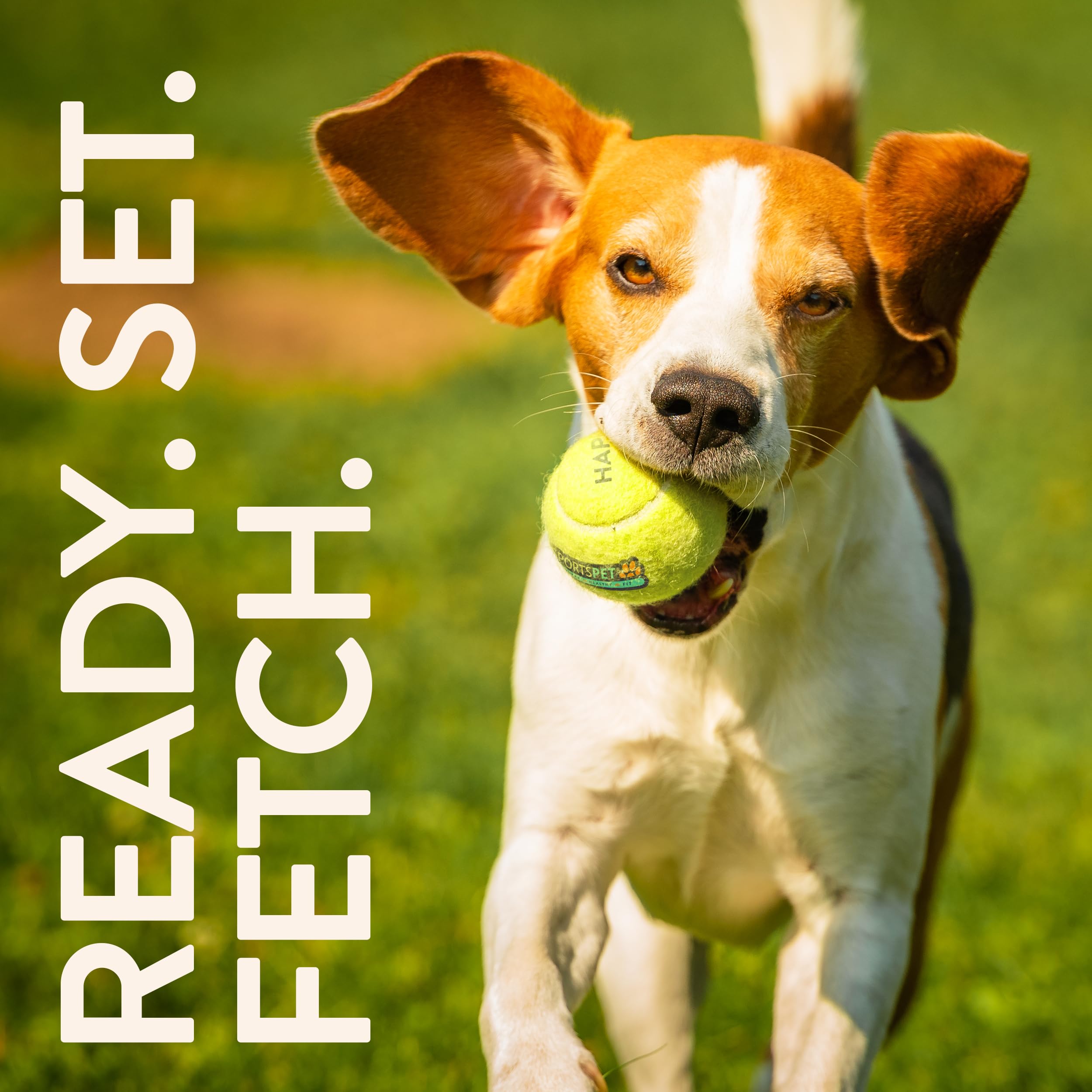 SPORTSPET Palline da tennis per cani, confezione da 12, extra rimbalzanti, non tossiche, durevoli, di lunga durata, galleggianti per cani, palline da tennis standard (64 mm)