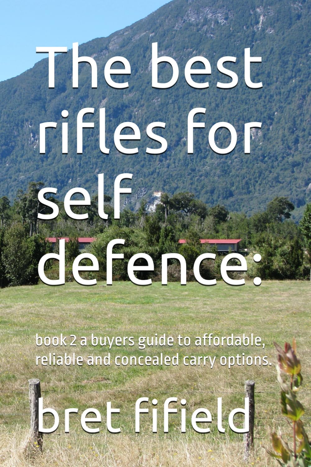 The best rifles for self defence:: book 2 a buyers guide to affordable, reliable and concealed carry options. (The best firearms for self defence.)