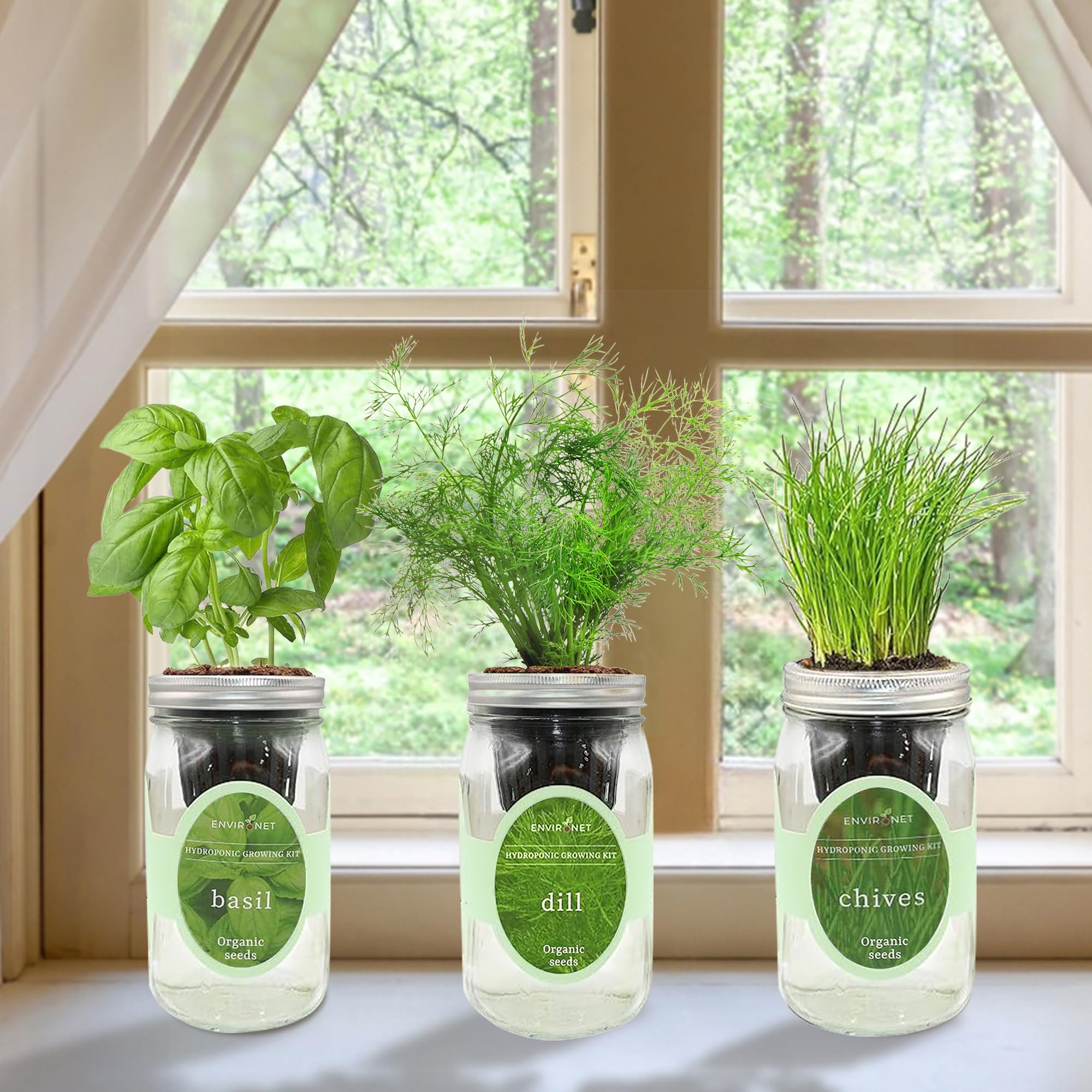 Environet Hydroponic Herb Growing Kit Set, Self-Watering Mason Jar Herb Garden Starter Kit Indoor, Windowsill Herbs Garden, Grow Your Own Herbs from Organic Seeds (Rosemary, Lavender, Oregano)