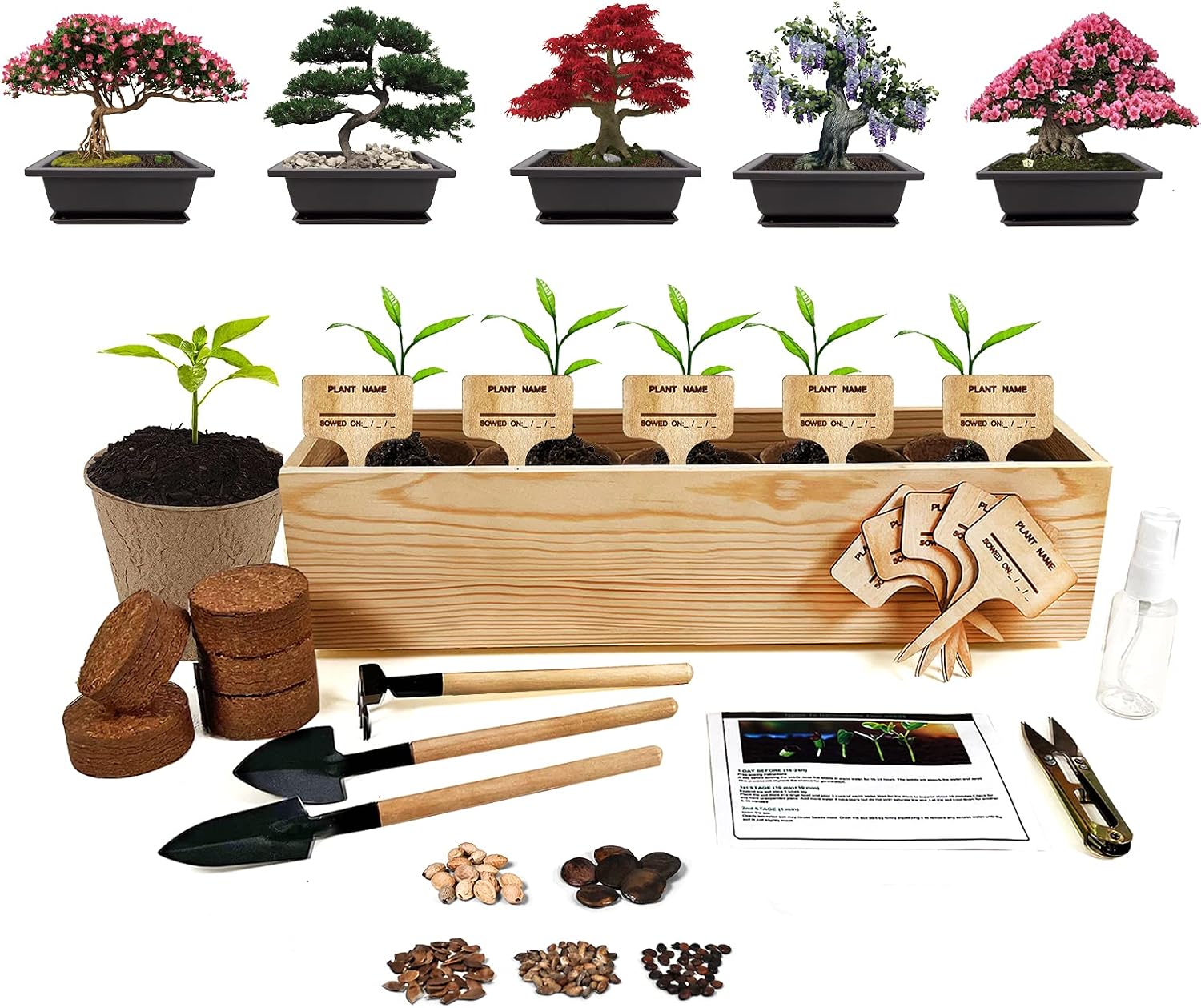 Hand-Mart 5 Bonsai Seeds Window Starter Kit, Maple Wisteria Pine Judas Acacia, Including Everything-Soil, Pots, 3 Garden-Tool, Pruner, Sprayer, Plant Labels, DIY Gifts for Kids Adults