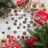 Vista 7 de 200 piñas de pino naturales de Navidad, minipiñas de pino de Acción de Gracias, adornos de piñas de Navidad a granel para decoración del hogar