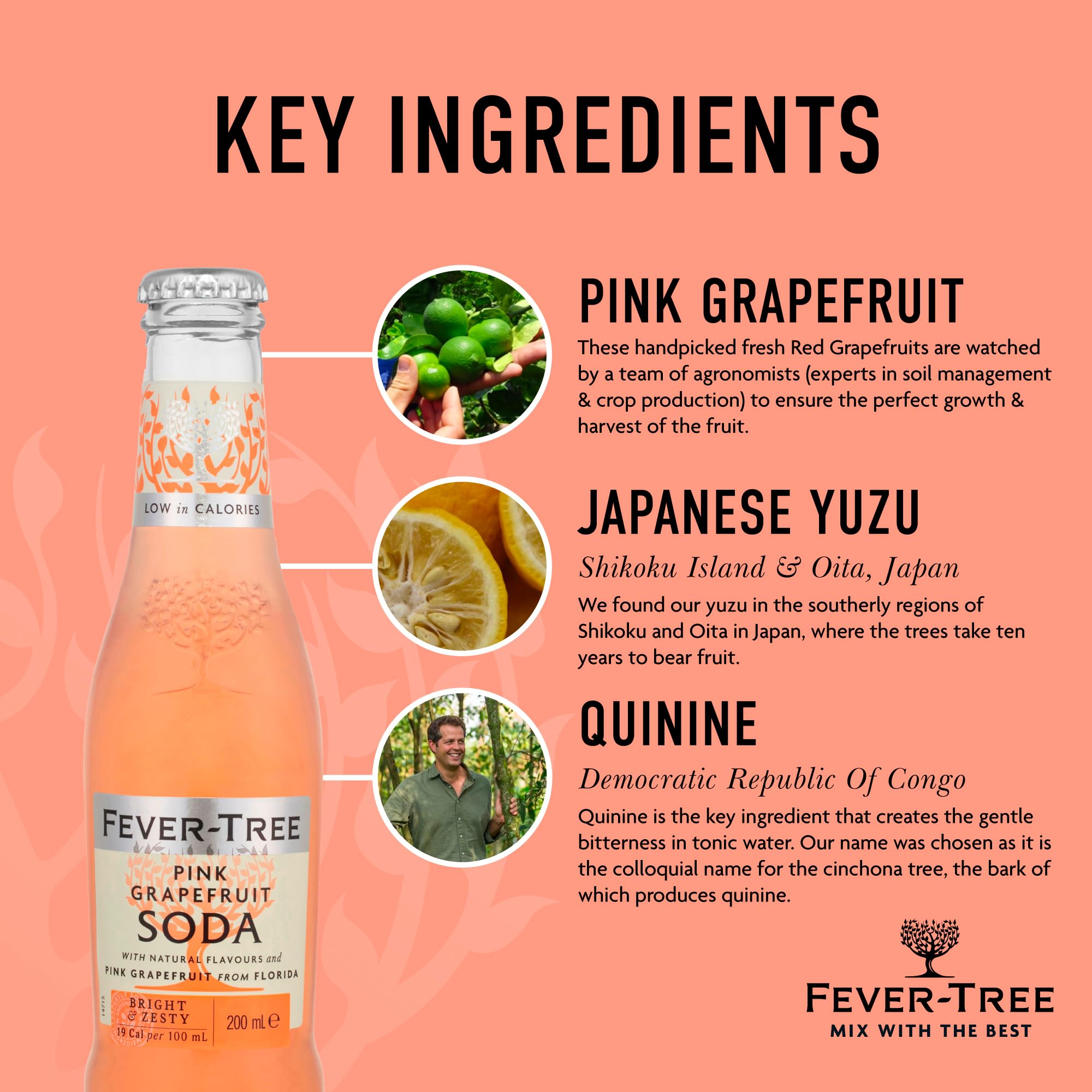 Fever Tree Pink Grapfruit, 4 piezas