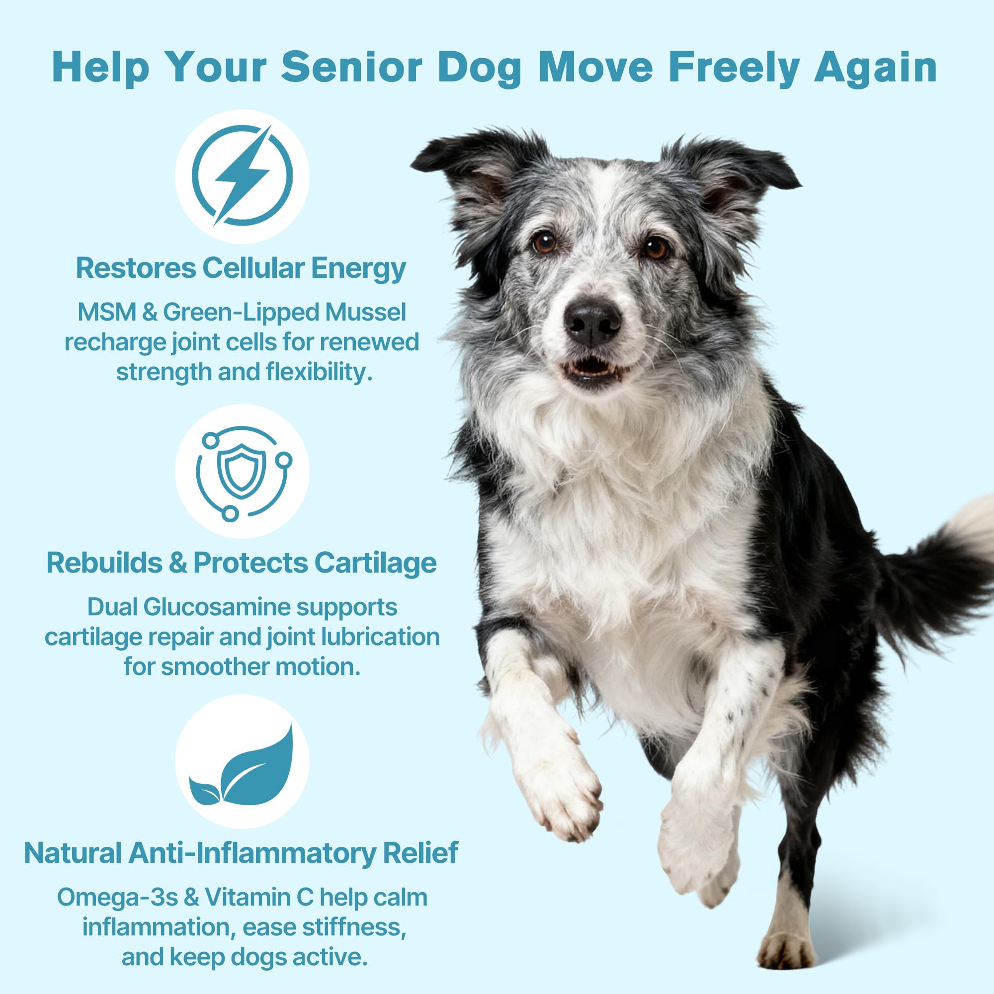 Hip & Joint Senior Dog Supplement–Advanced Glucosamine Chondroitin for Dogs with MSM, Green Lipped Mussel,and Omega-3 – Supports Mobility and Reduces Joint Pain for Senior Dogs(120ct Chewable Tablets) - image 5