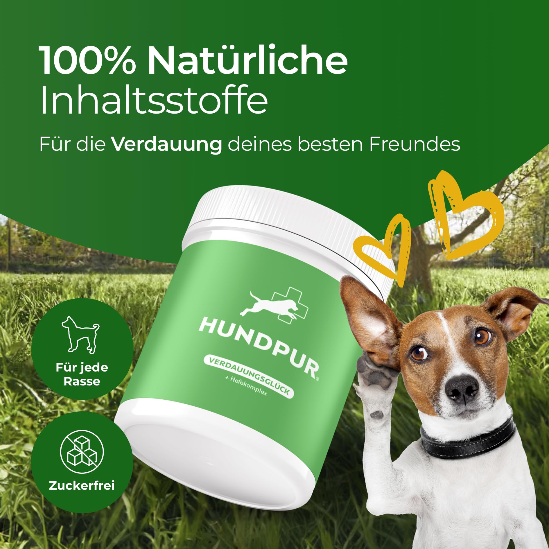 Verdauungsglück 300g - Zusatzfutter - Pellets für Hunde - Präbiotika & Probiotika Pellets - Stabilisierung der Physiologischen Verdauung