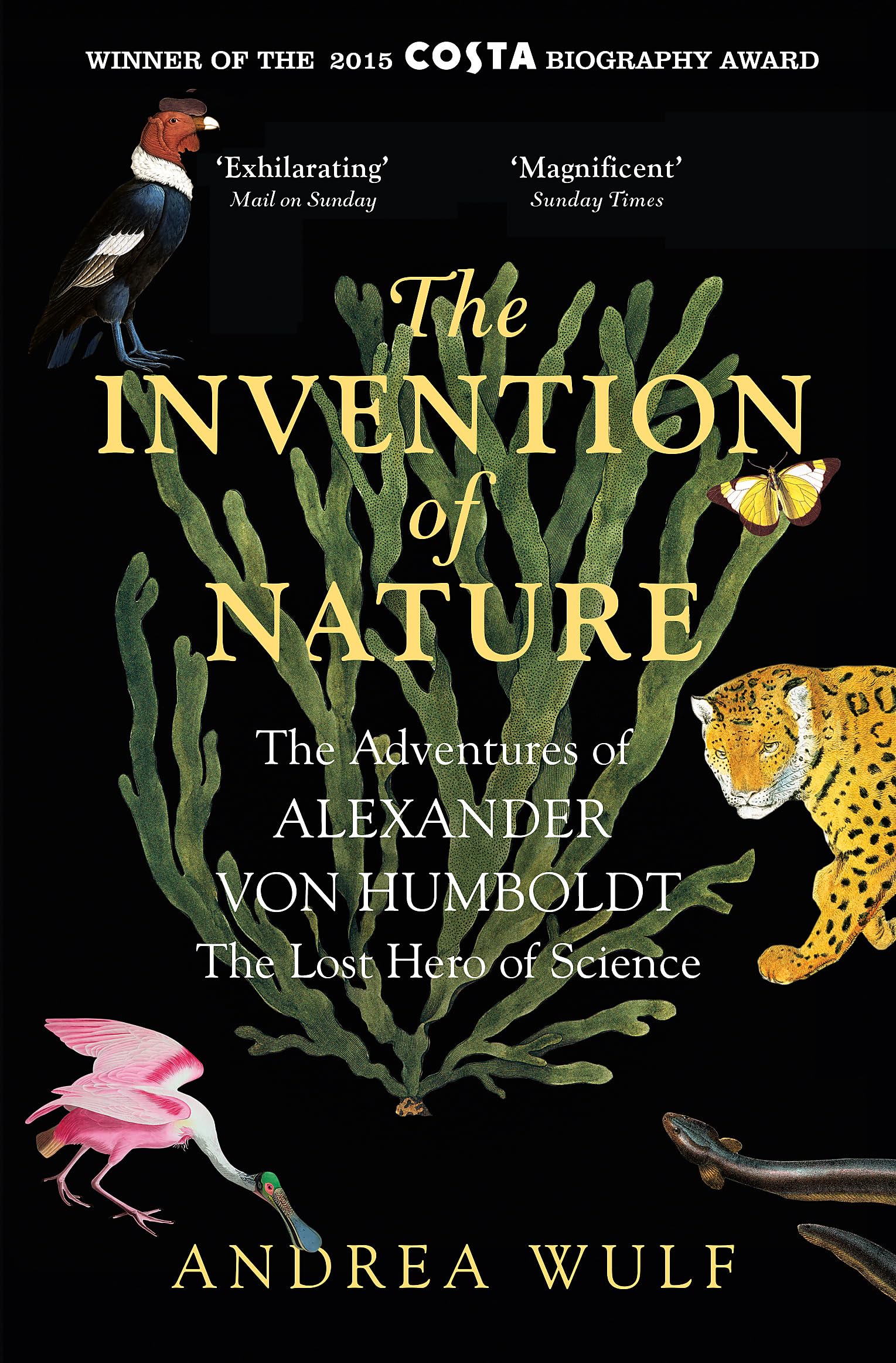 Invention of Nature Like New Book, Andrea Wulf, Paperback