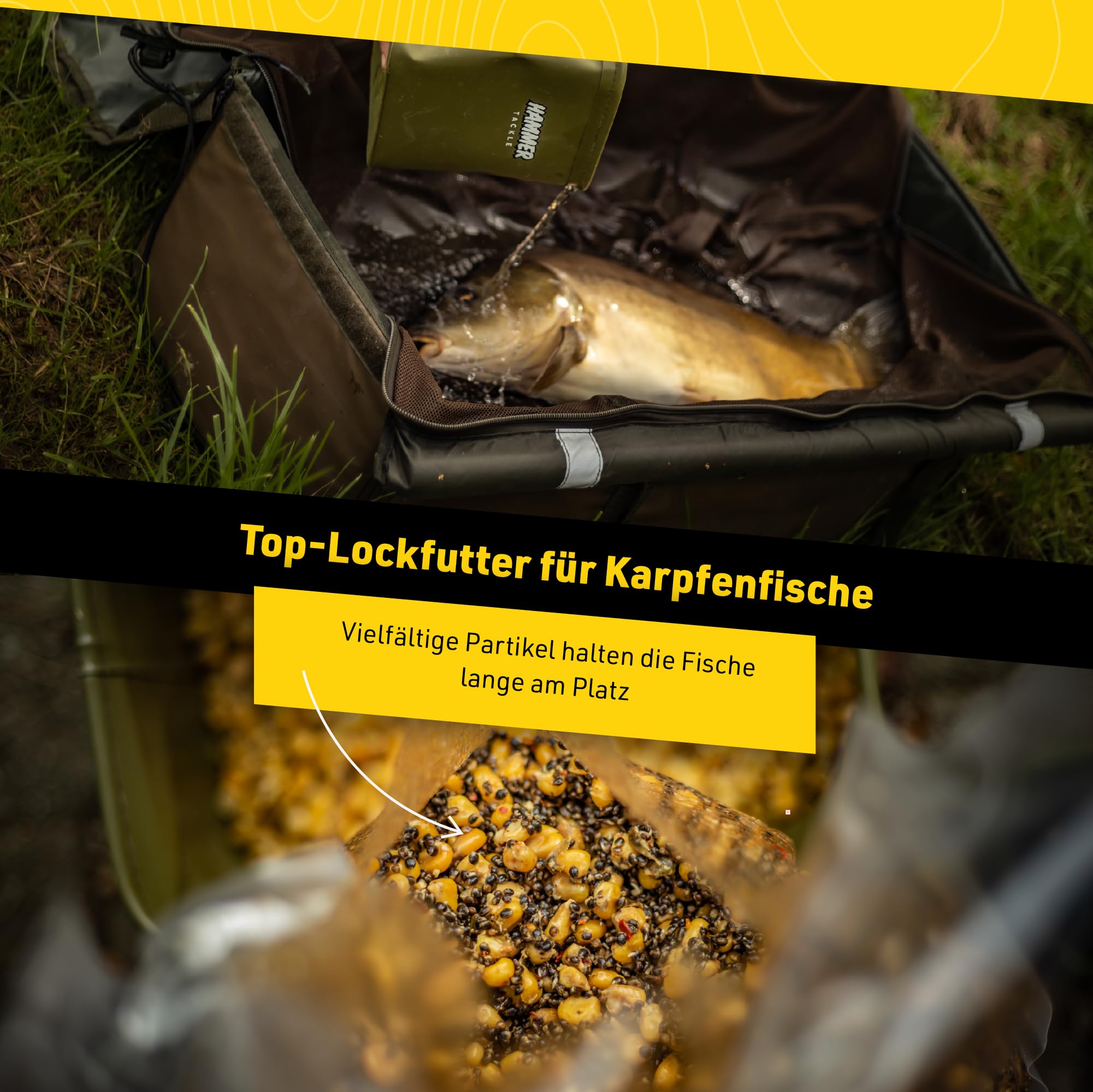 Mix ziaren konopie rzepik 1 kg - Gotowa zanęta wędkarska na karpie, amury i inne karpiowate - Mieszanka ziaren zapakowana próżniowo - Gotowane ziarna skuteczne przez cały rok