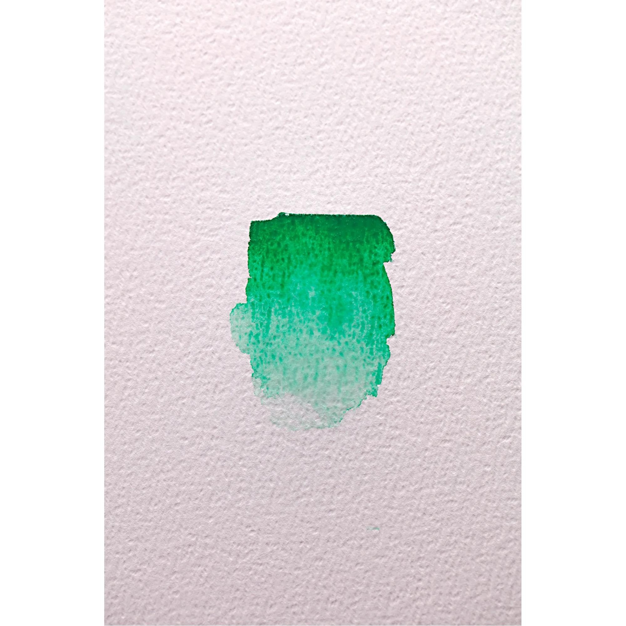 Clairefontaine 976092C szkicownik sapiralny Fontaine 30x40 cm 12 arkuszy