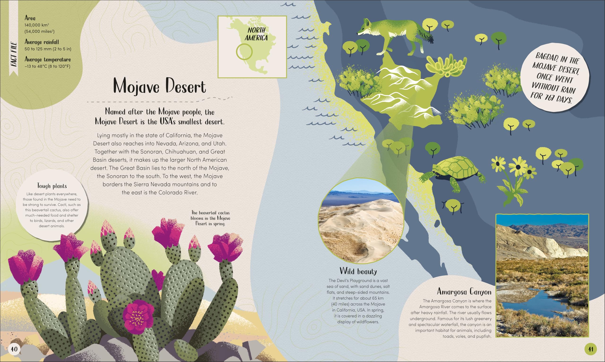 Desert: Journey Through the Hot Sands and Frosty Lands