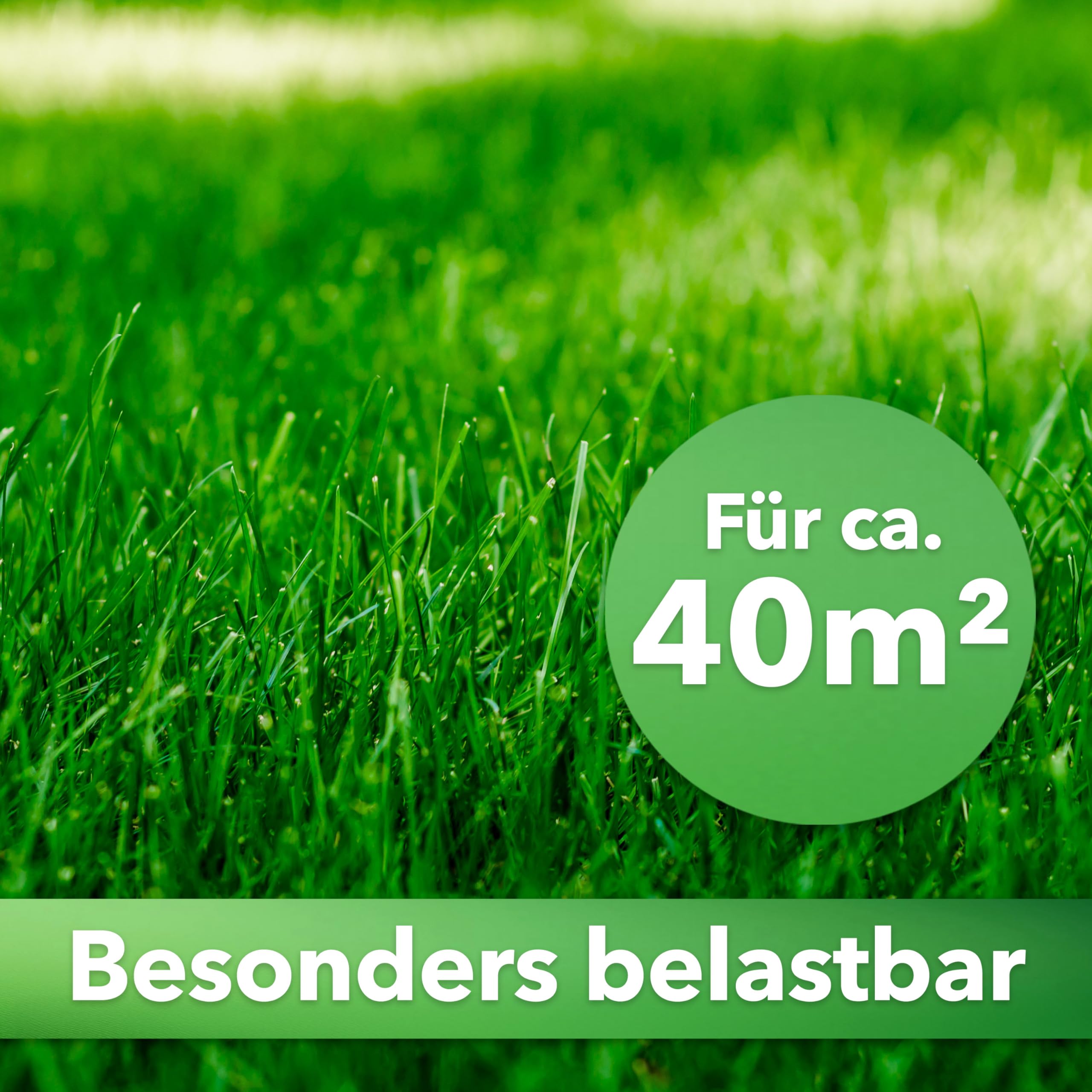 Hesa Gebrauchsrasen 1 kg für 40 m², RSM 2.3, schnellkeimende Premium Rasensamen Sport- und Spielrasen, Grassamen strapazierfähig und robust in Profiqualität
