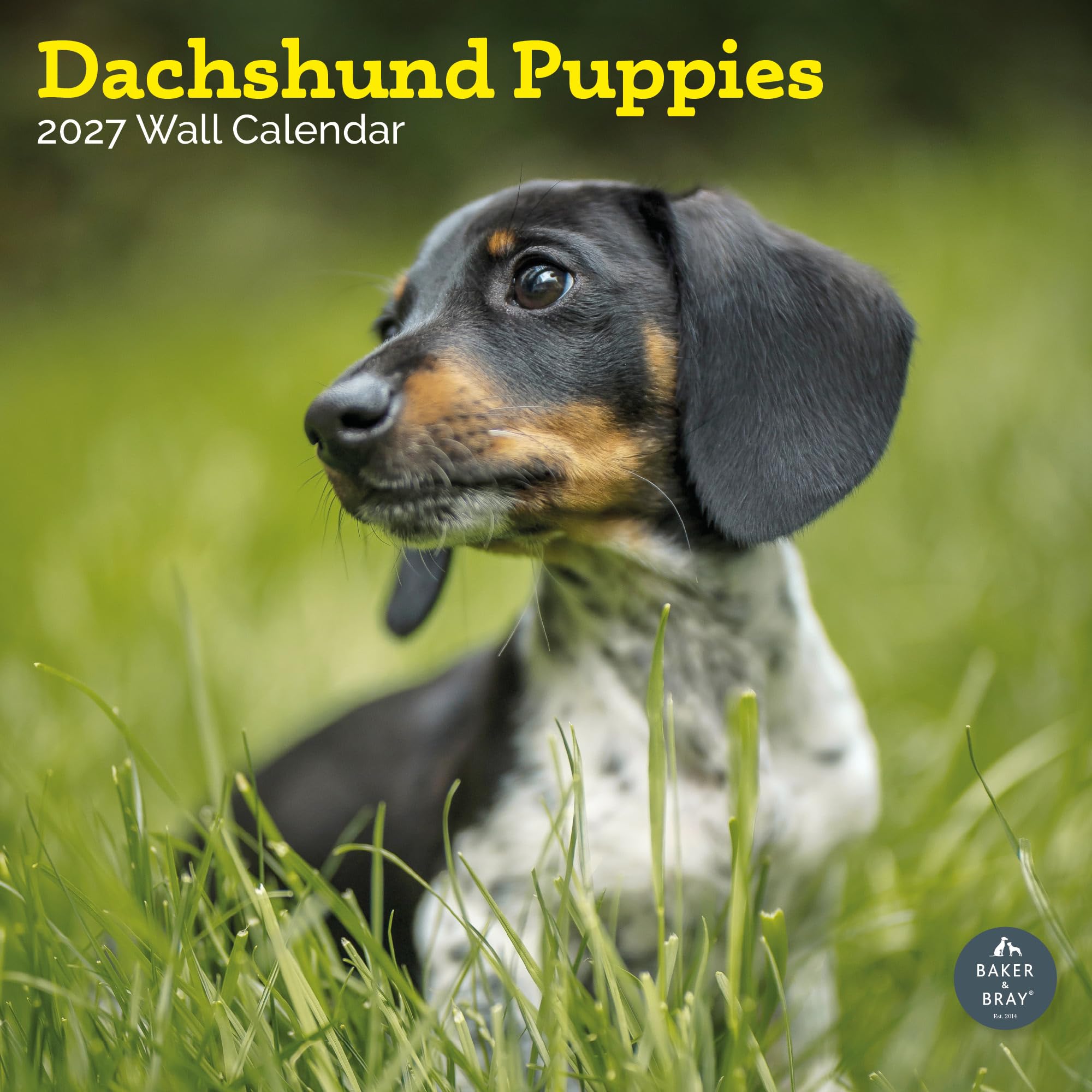 Baker and Bray Dachshund Puppies Calendar 2027, Large