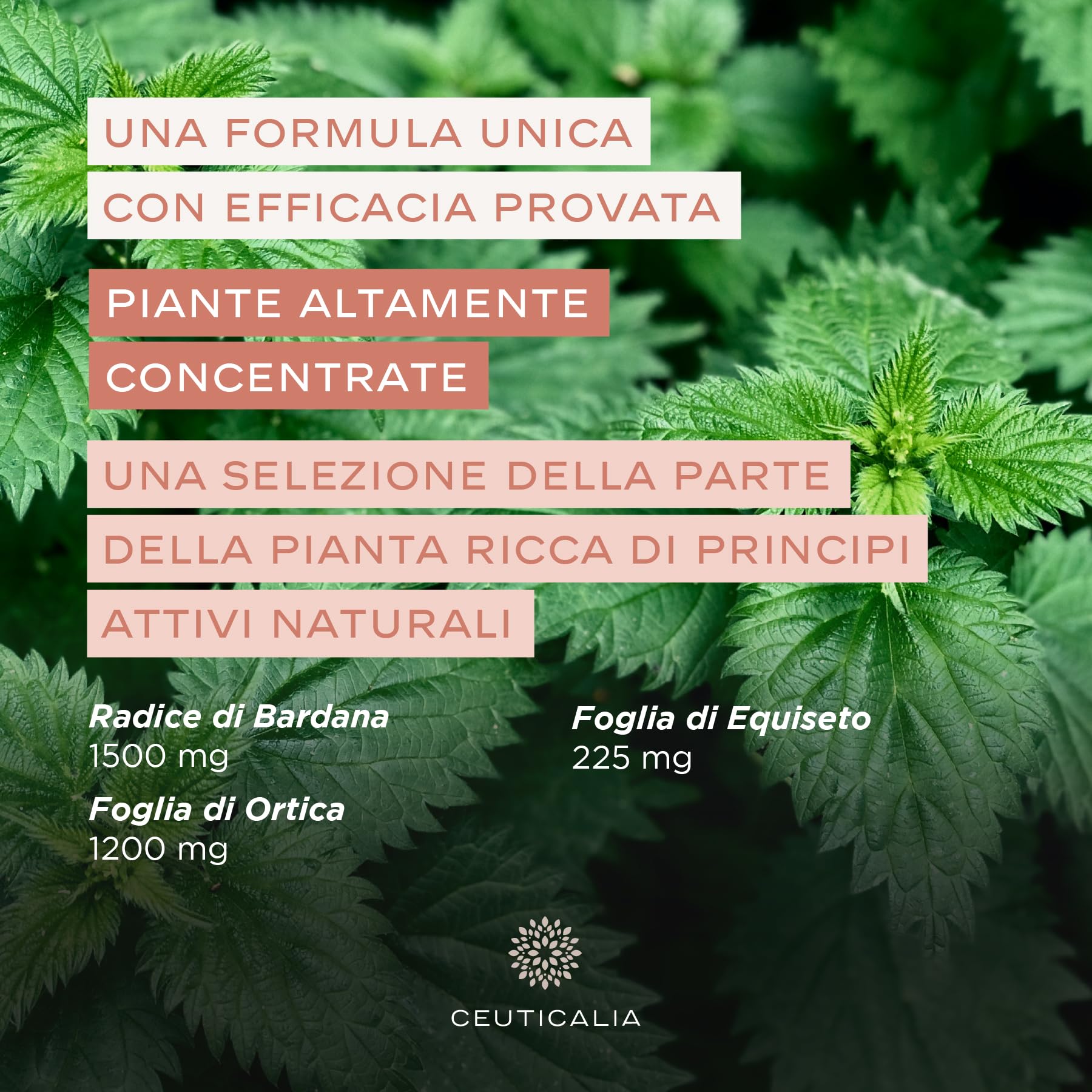 Integratore Alimentare per la Pelle - Punti Neri, Acne, Pelle Grassa o Secca, Brufoli, Imperfezioni - Uomini, Donne - Zinco, Vitamina A, Ortica, Bardana, Equiseto - 180 Capsule, 90 Giorni