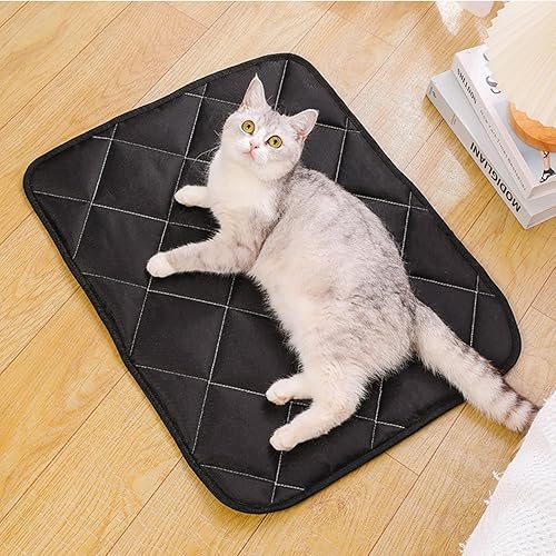 Miniatura 7 de AUNMAS Cojín para silla, almohadillas de algodón para asiento cómodo, antideslizante, absorbente, acolchado para el hogar, escuela, oficina,
