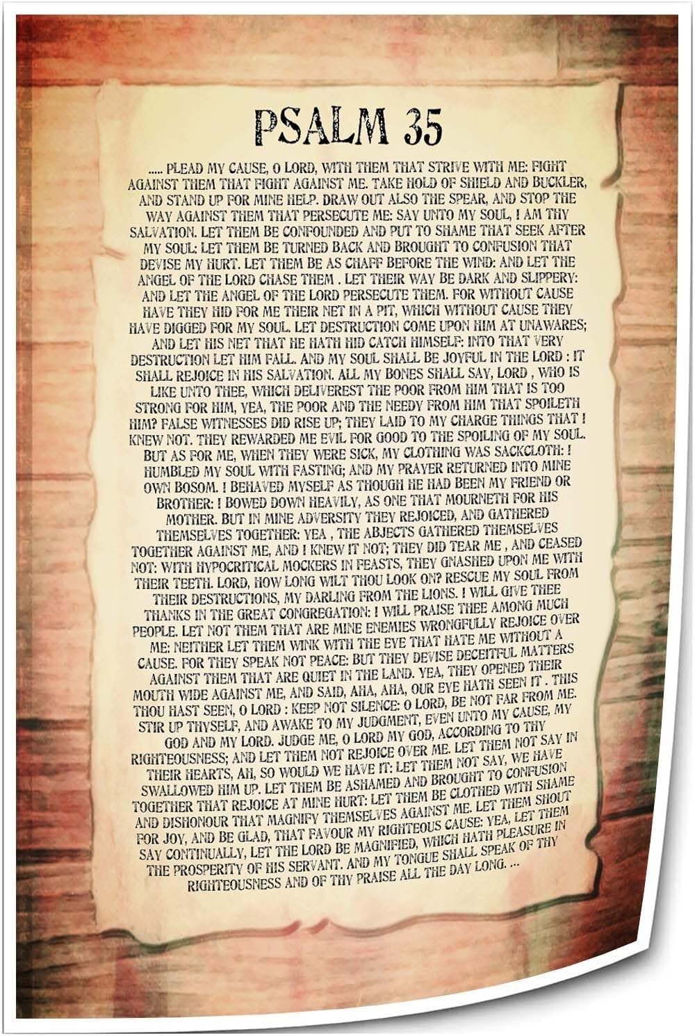 FOPURE Psalm 35 Bible Verse Wall-Art Scripture Poster Inspirational Christian Decor for Bedroom Bathroom Living Room Home Office