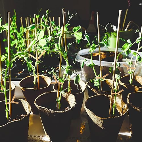 Miniatura 6 de 1000 piezas de lazos giratorios, lazos de papel kraft para plantas, lazos de pan reutilizables para fiestas, violonchelo, caramelos, bolsas de café,