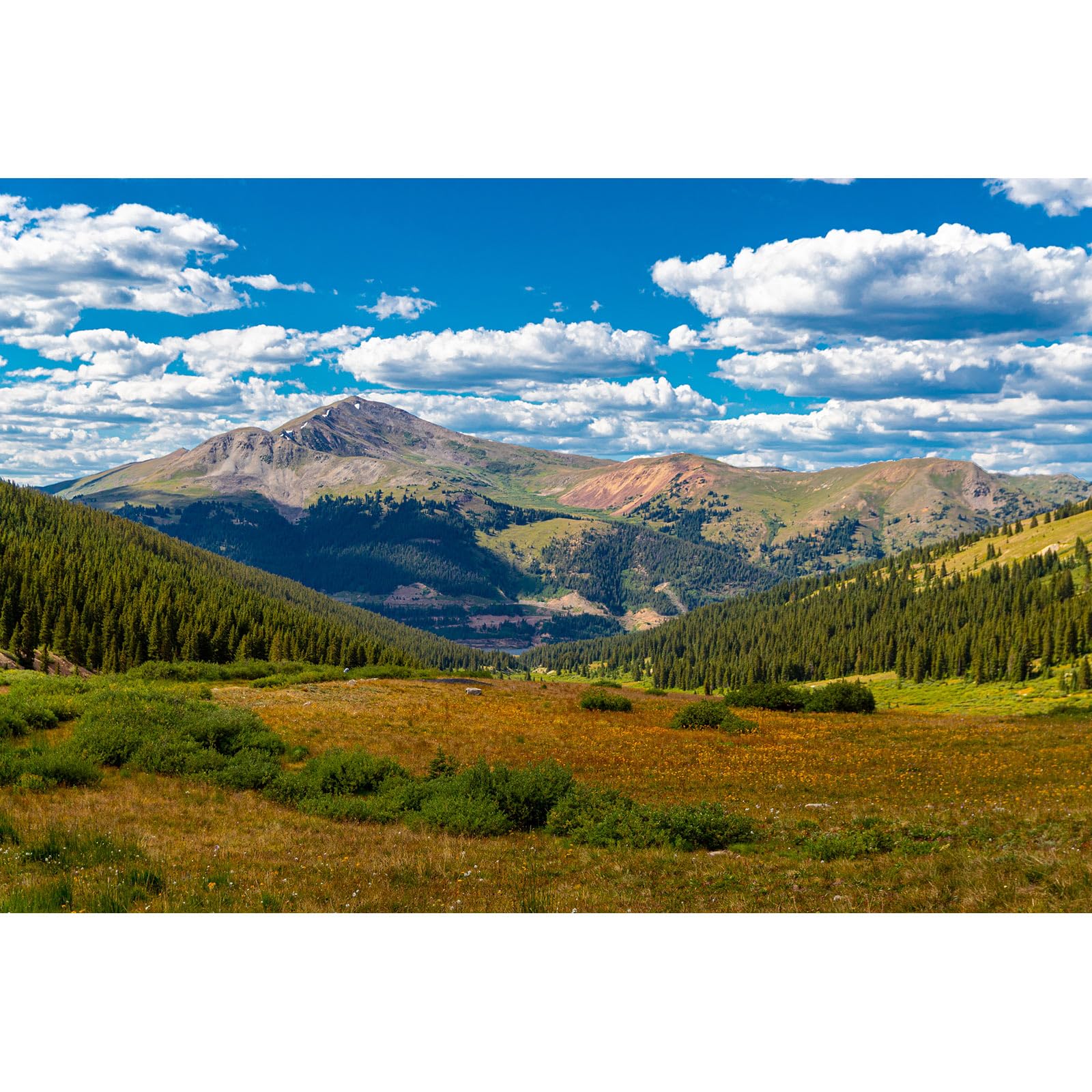 Mountain Backdrop Forest Pine Trees Natural Landscape Photography Background White Clouds Blue Sky Outdoor Backdrops River Stream Jungle Style