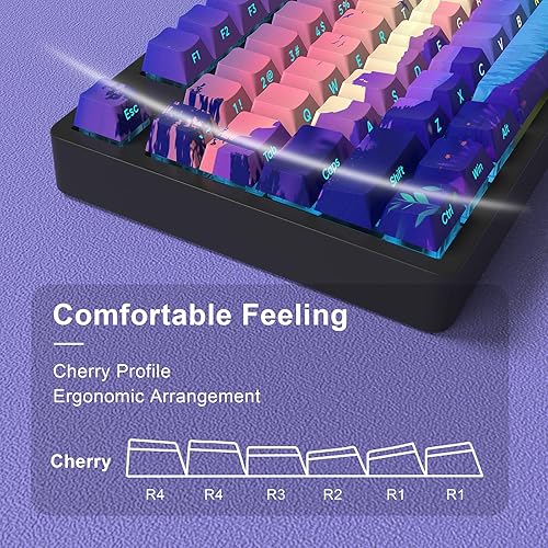 Miniatura 4 de JSJT Teclas PBT - Tecla translúcida con impresión lateral, estilo multicolor con brillo personalizado, juego de 124 teclas de perfil Cherry para