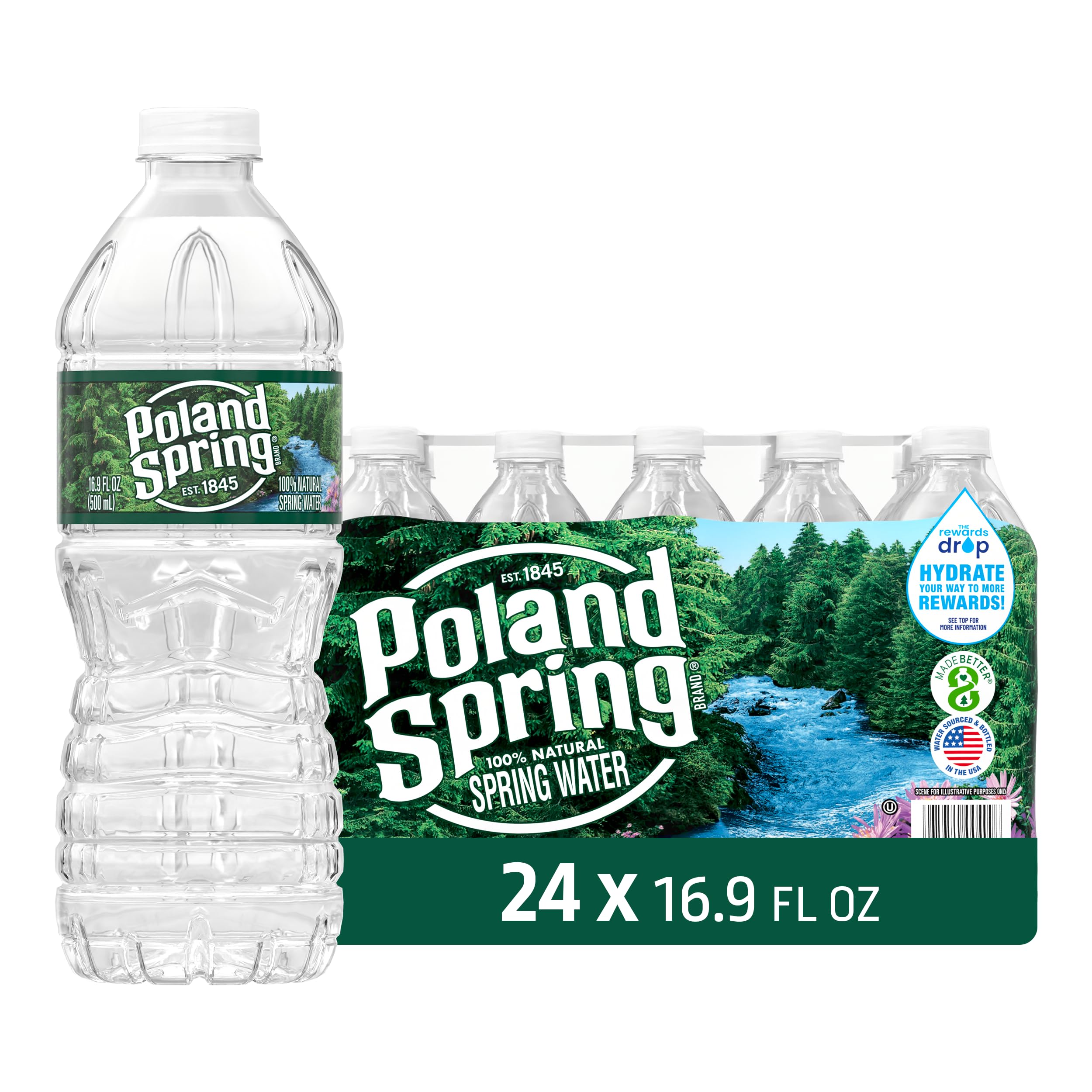 Poland Spring Maine Spring Water Bottles, 24 Pack – Crisp, Still Bottled Water with Naturally Balanced Occurring Minerals & Electrolytes for Taste - 16.9 Fl Oz