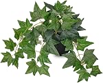 14.5" Artificial Plants Indoor Home Decor, Fake Potted Silk Plants for Shelves Living Room Decorative, Small Artificial Office Desk Plants in Pots, Faux Peperomia Hope Tropical House Plant