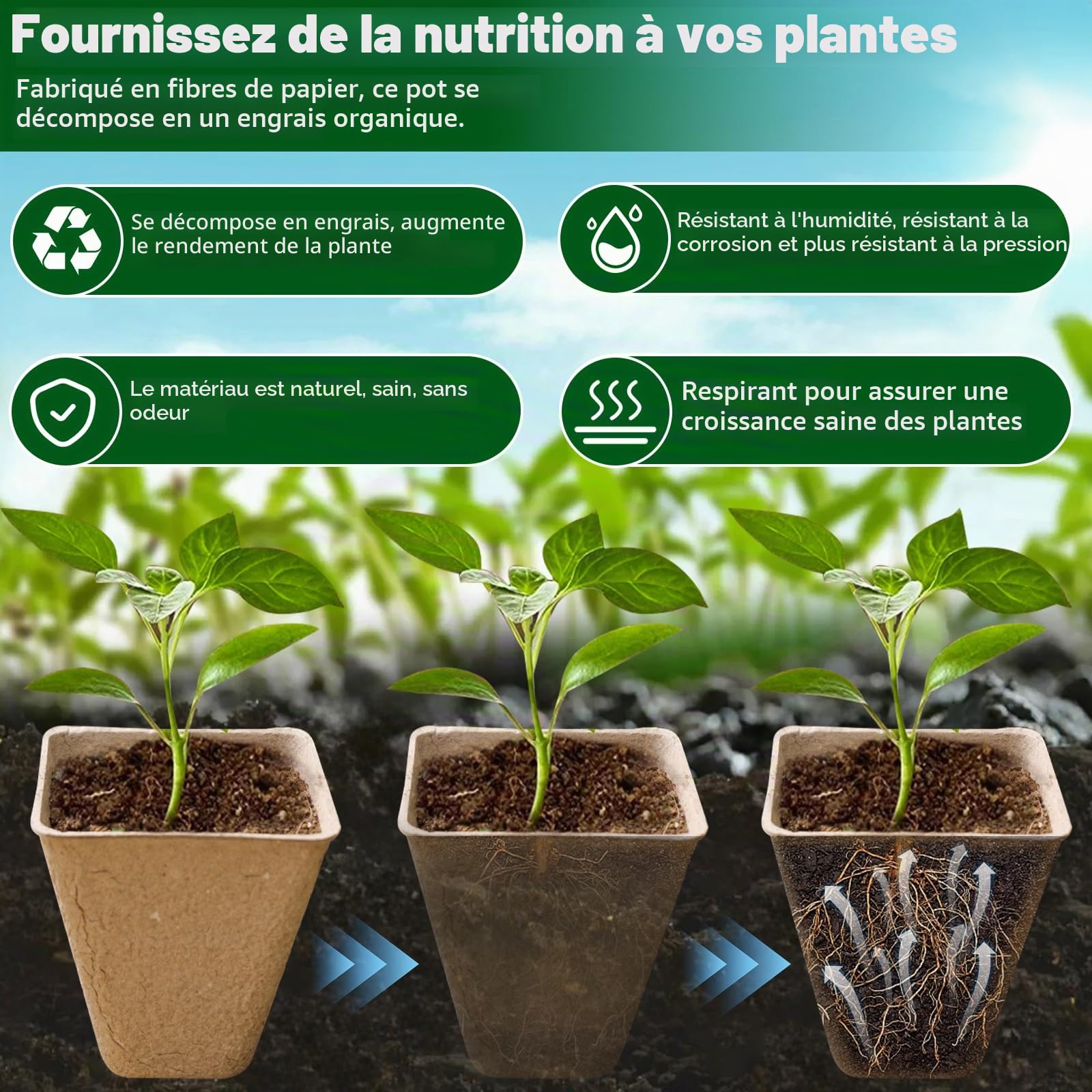 Godets pour Semis 8cm, 202 Pièces Kit de Pots de Semis en Fibre, Godet de Rempotage avec Étiquettes et Outils, sans Tourbe, sans Repiquage, pour Serre Jardin Potager Fleur Semis