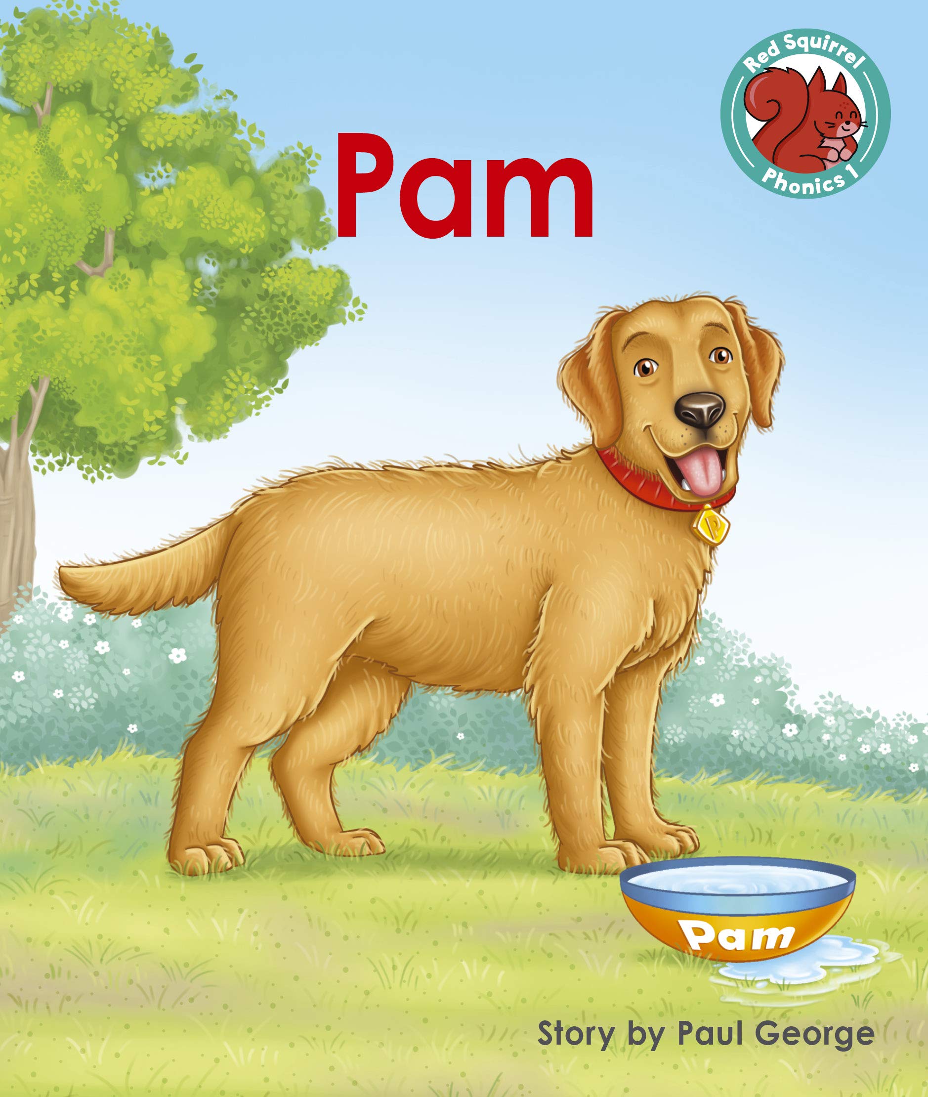 Pam by Paul George - 9781398216808