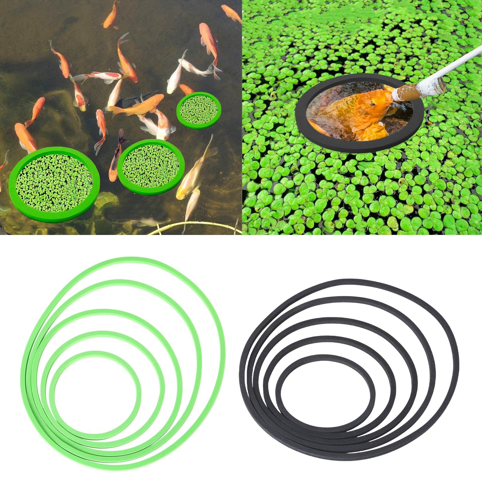 JONbinbkl Fish Tanks Floating Plant Rings Set of 5pcs Aquarium Floating Plant Holder Plant Rings Fishtank Feeding Circles