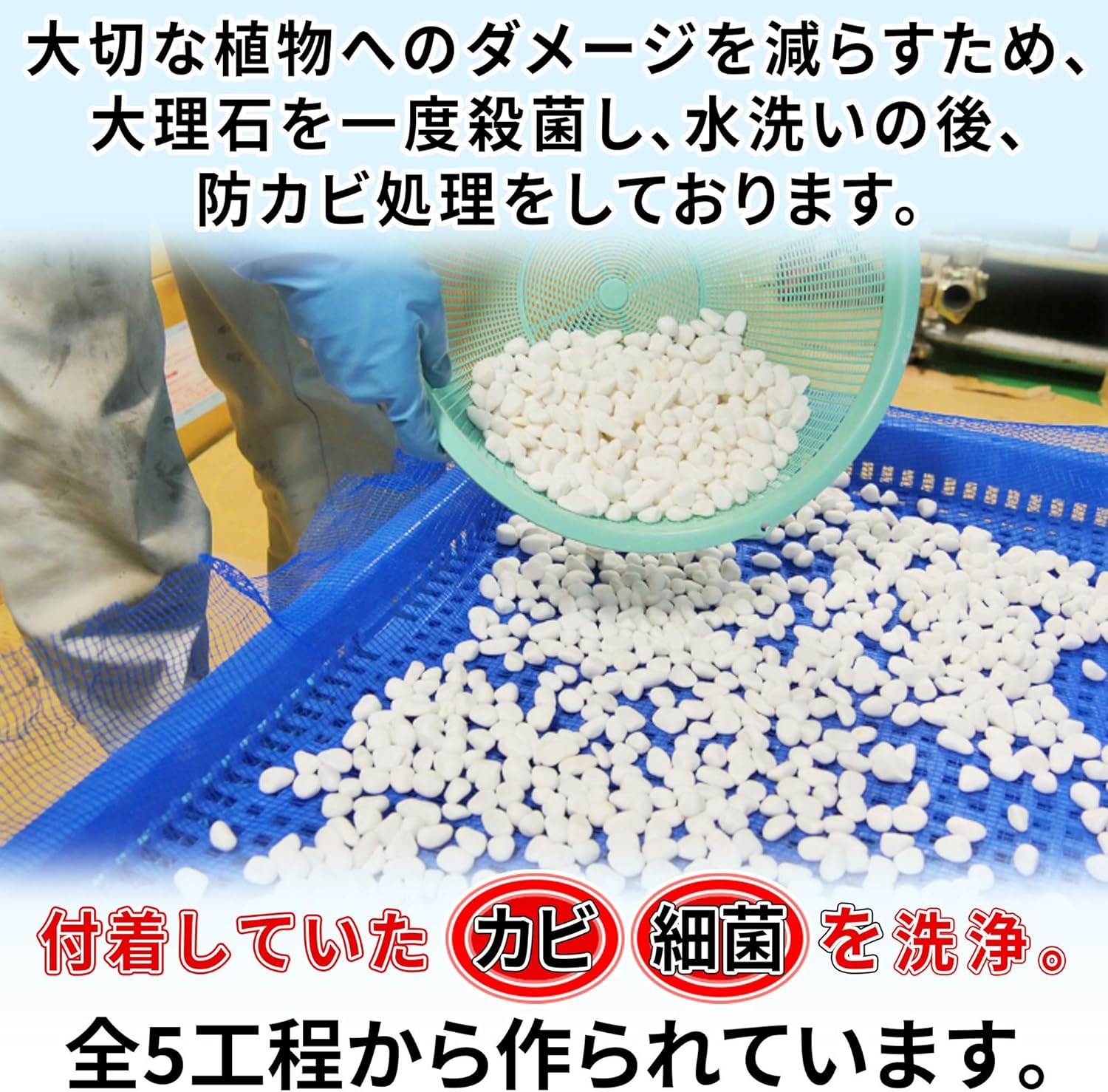 Amazon 植物 観葉植物用 防カビ剤入り化粧石 カビキックスストーン 800g 大理石の化粧砂利 カビ 防止 砂利