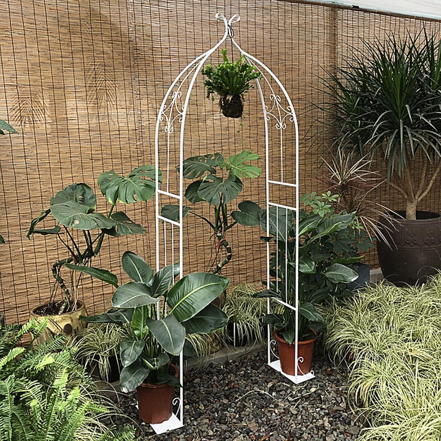 Rose Trellis Climbing Plant Frame, Garden Arbor Archway Metal Wedding Arch, for Indoor Outdoor Garden Patio Various Bridal Party Decoration Stand (Color : Black, Size : W80CM)
