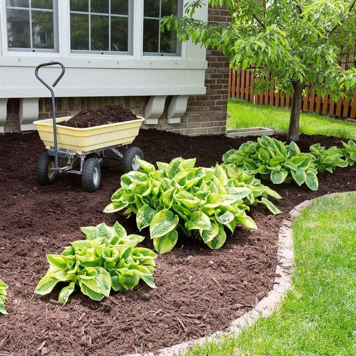 EPANO LXXW Telo Pacciamatura Anti Erbacce Tessuto geotessile con Membrana di Controllo delle infestanti Tessuto for Copertura del Terreno Barriera for Erbacce da Giardino(Size:1x5m)