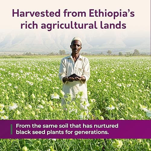 Miniatura 7 de BioNatal Aceite de Semilla Negra Etíope - Nigella Sativa Prensada en Frío que Produce Aceite de Semilla de Comino Negro, Sin Refinar y Sin Filtrar,