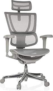 hjh OFFICE Chaise de Bureau Ergonomique ERGOHUMAN Slim Ultra GEN2 Design Original, Fauteuil de Bureau avec Soutien Lombaire Flexible, Tissu tendu, Gris