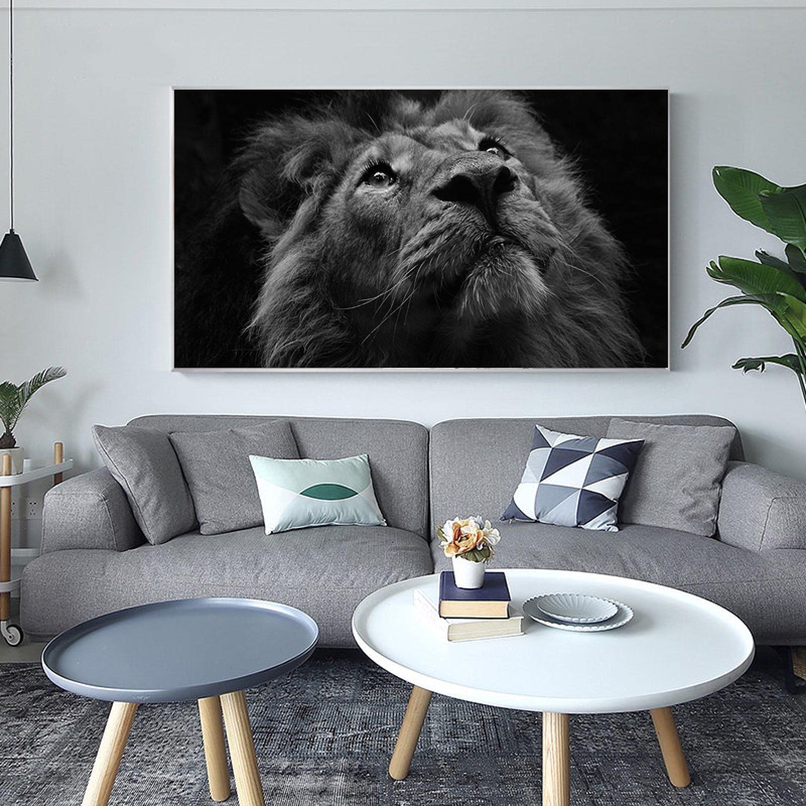 Leeuw in de regen poster - Leeuwen posters - Wanddecoratie zwart wit - Moderne posters