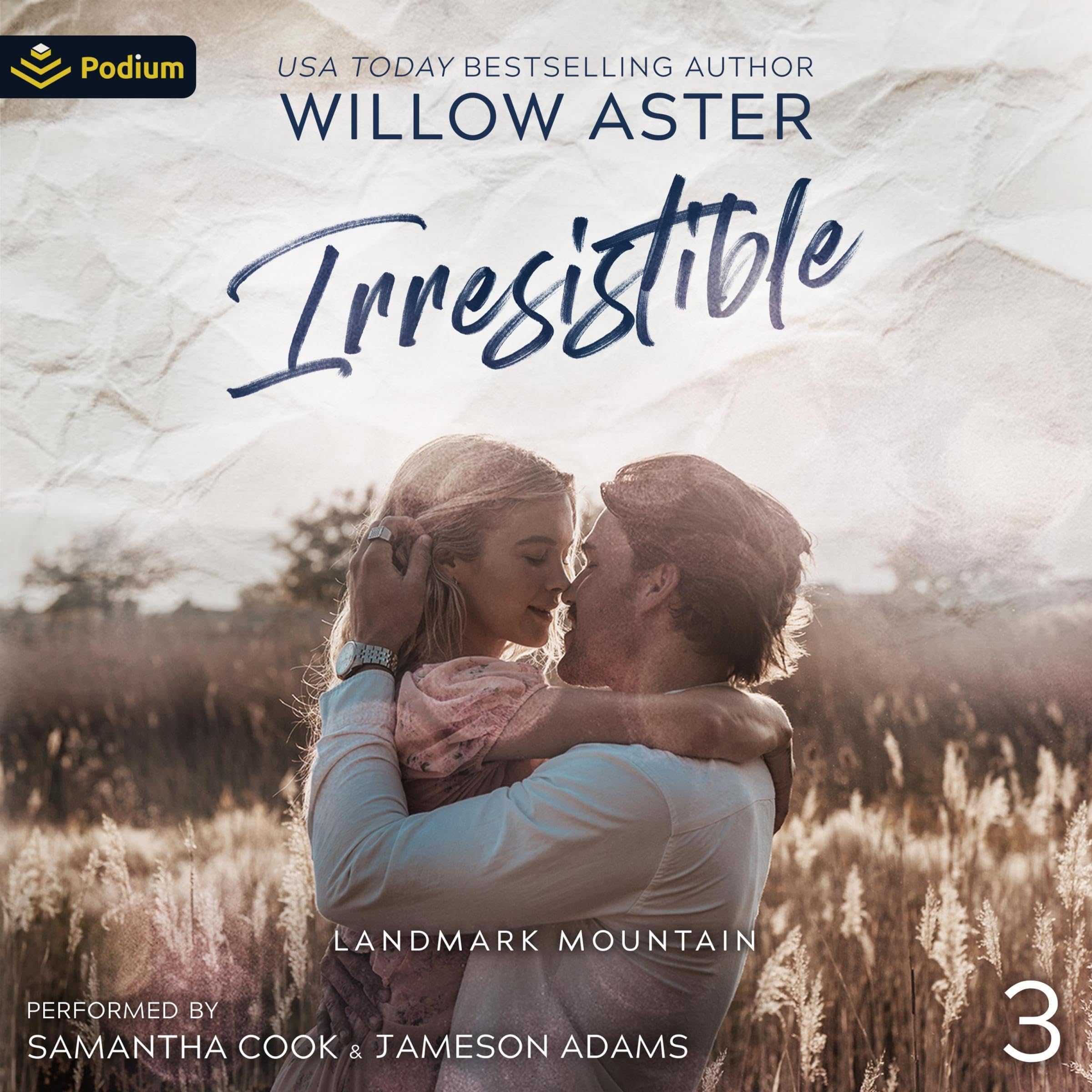 Cover art for Irresistible