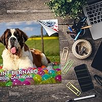 Vista 879 de Razas de Perros 2017