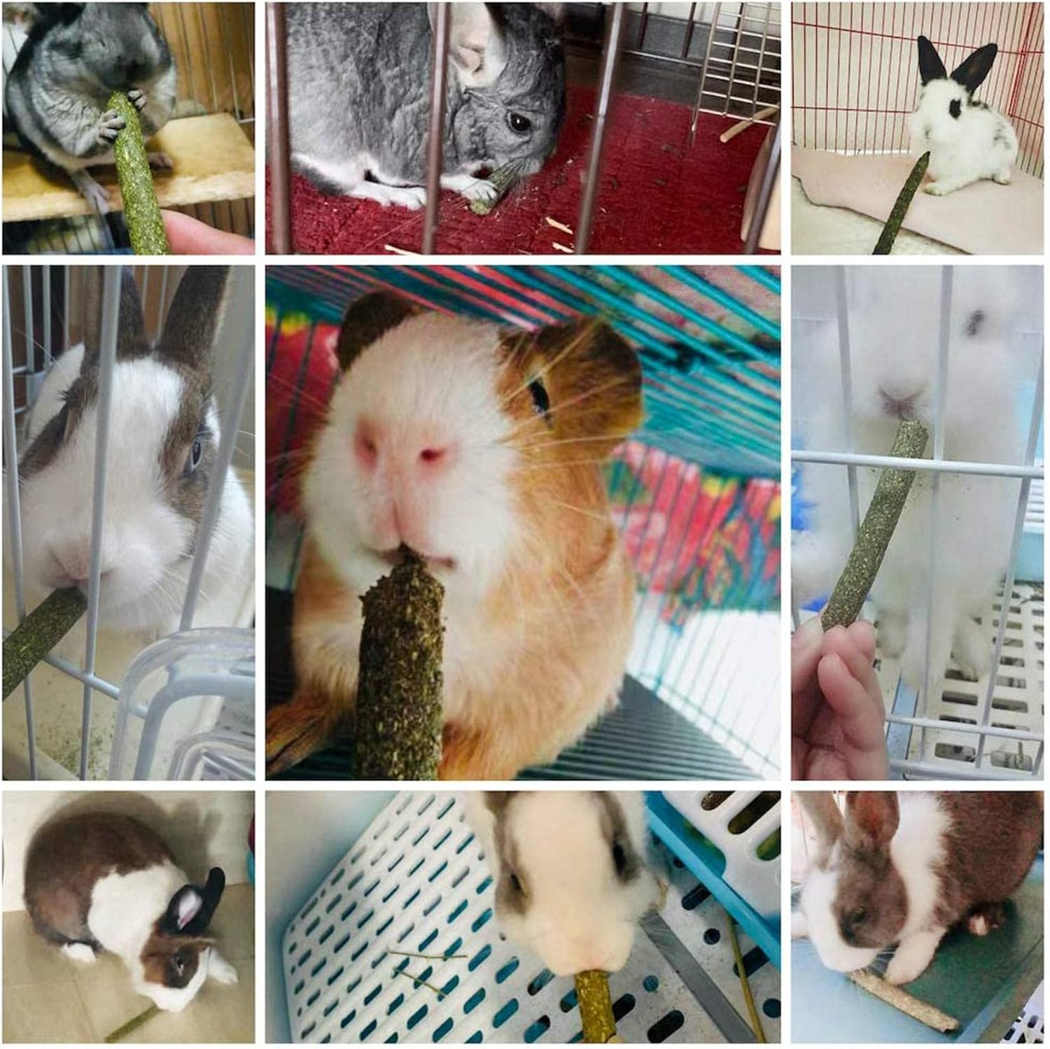 モルモット，ウサギ，スナネズミ，オウム，バニー，その他の小動物のための200個の混合草スティックチンチラ咀嚼おもちゃ